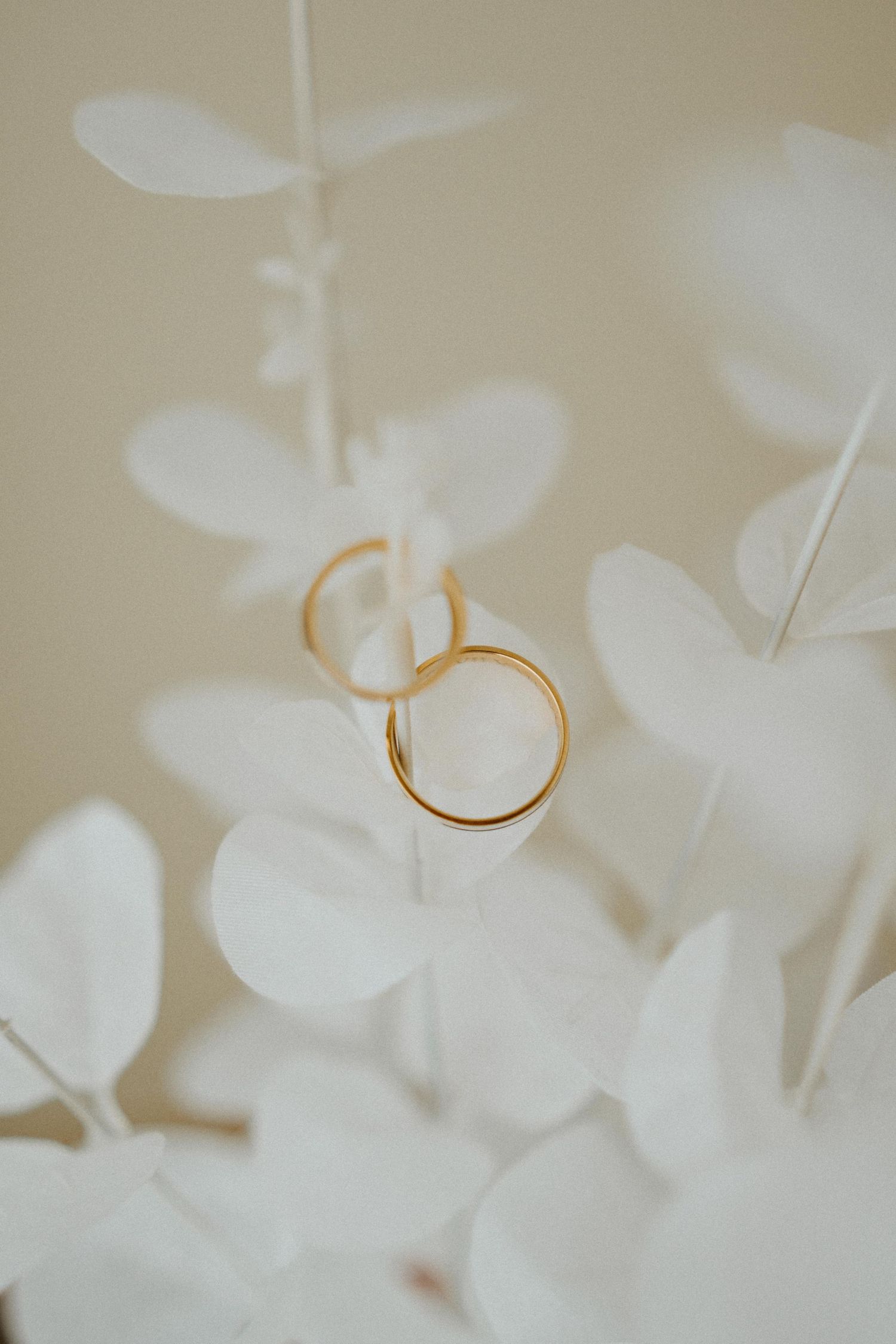 Gold wedding rings rest delicately on white flower petals in a soft, dreamy macro shot.