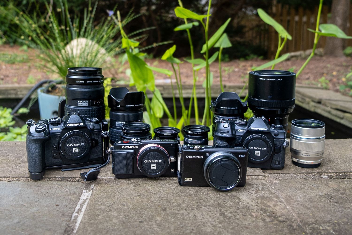 Collection of Olympus mirrorless cameras and lenses arranged on an outdoor stone surface surrounded by green plants.