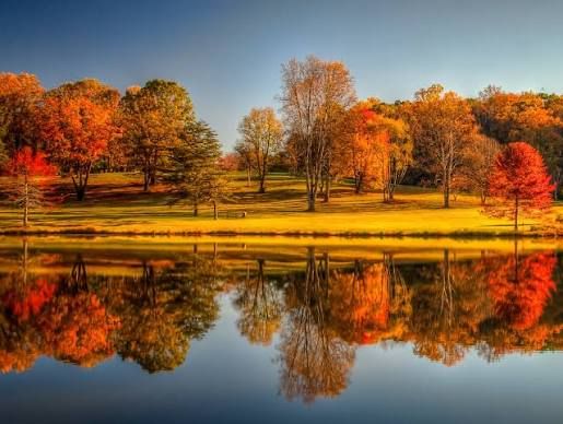 Vibrant autumn trees with red, orange, and yellow foliage reflecting perfectly on a calm lake in a scenic park.