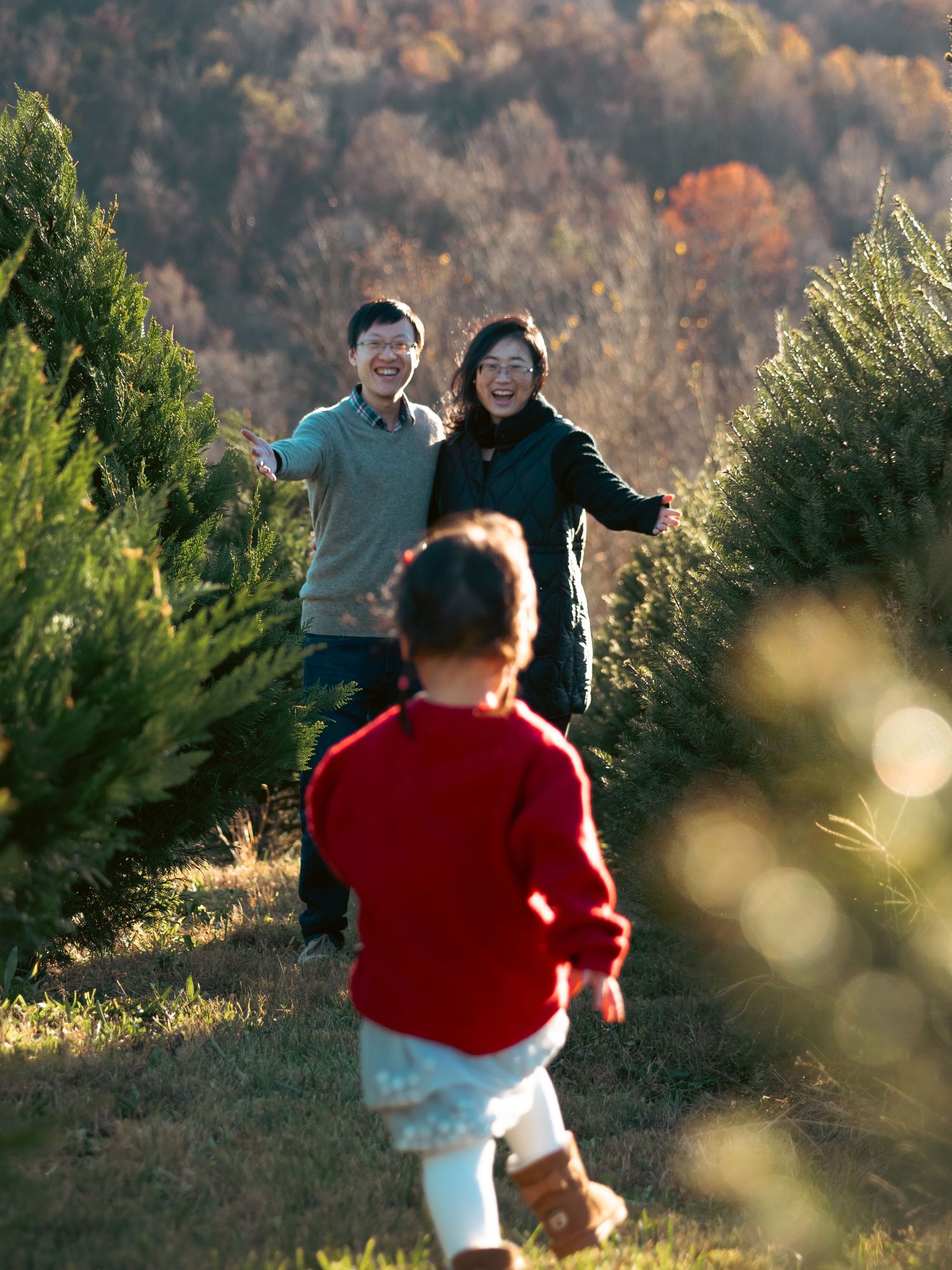 Happy Asian couple with open arms welcoming young child running toward them at a Christmas tree farm.