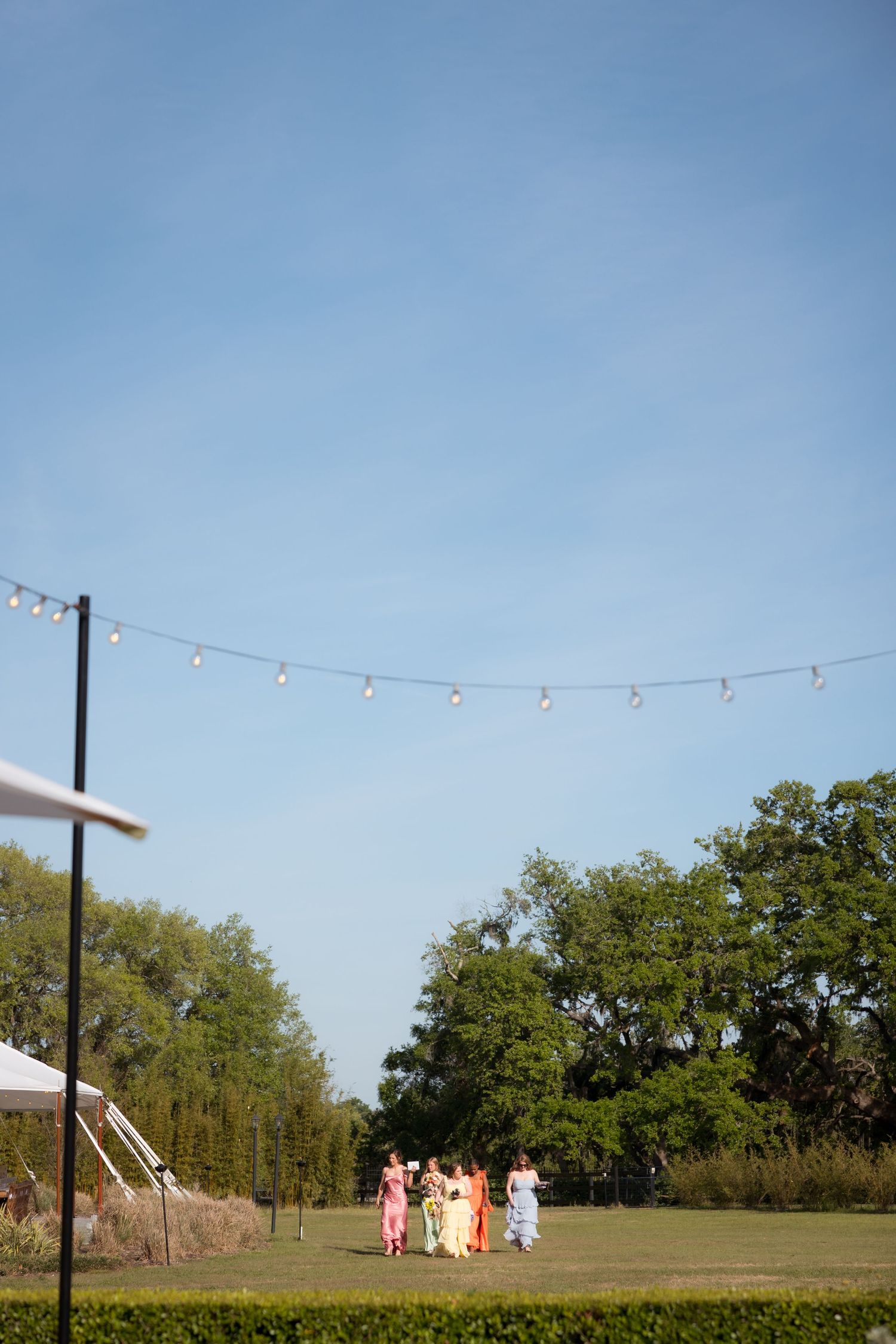 Wedding guests in colorful dresses walking across a green lawn with string lights overhead.