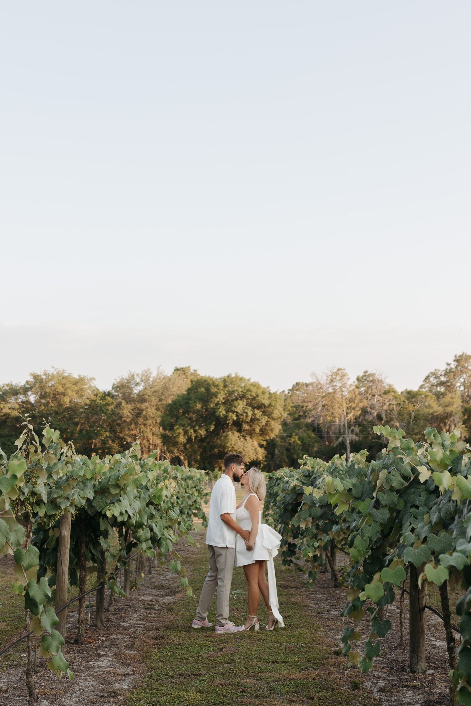 Romantic couple embracing between vineyard rows at golden hour.