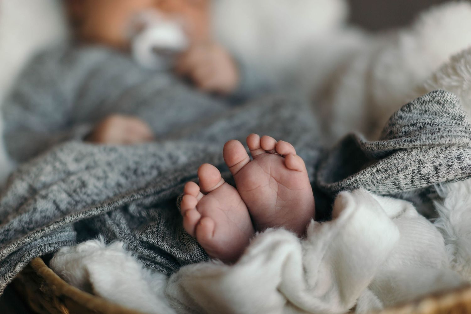 Close-up of tiny baby feet nestled in soft gray blanket.