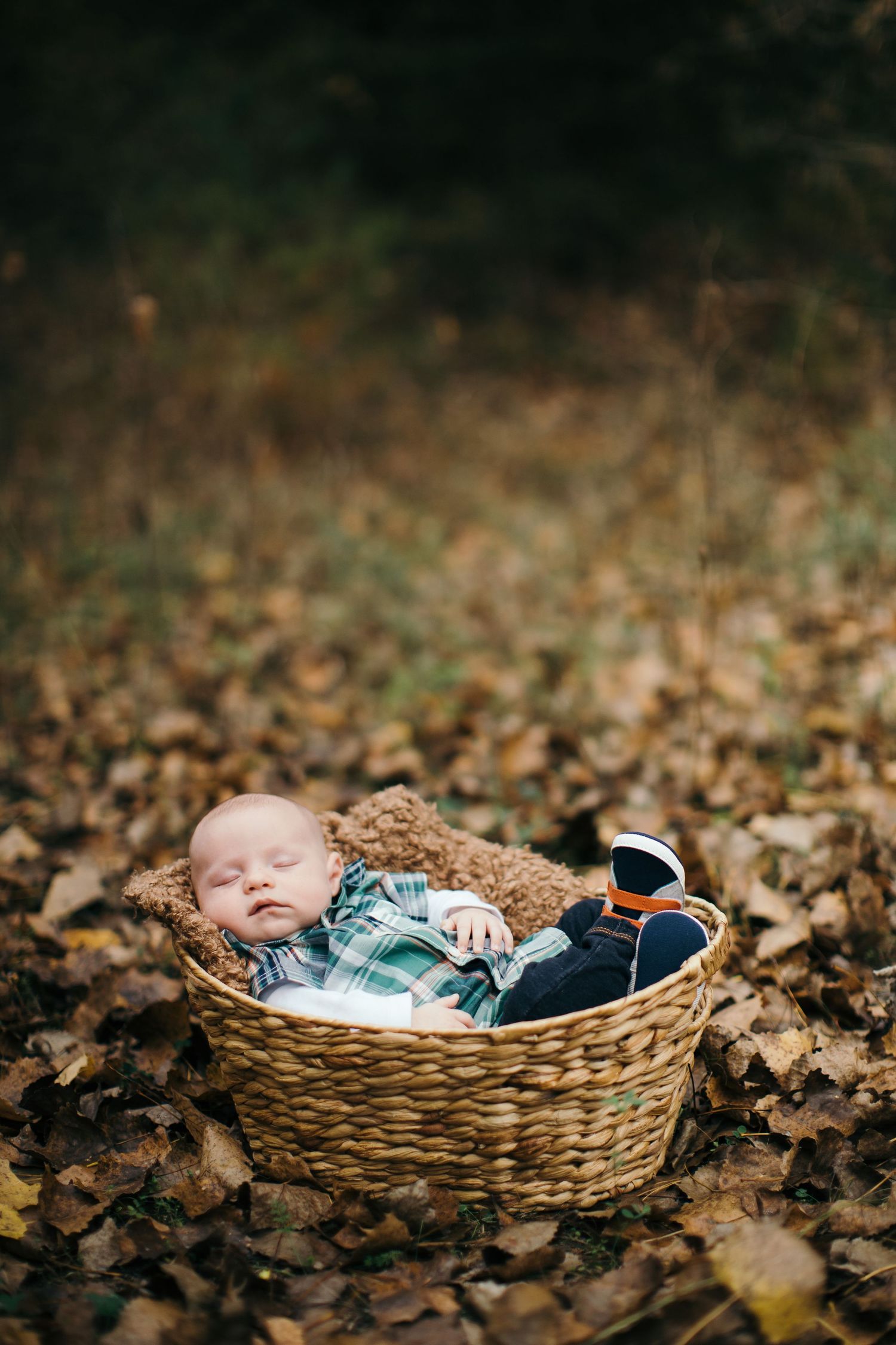 Sleeping baby in woven basket surrounded by fallen autumn leaves during outdoor photoshoot.
