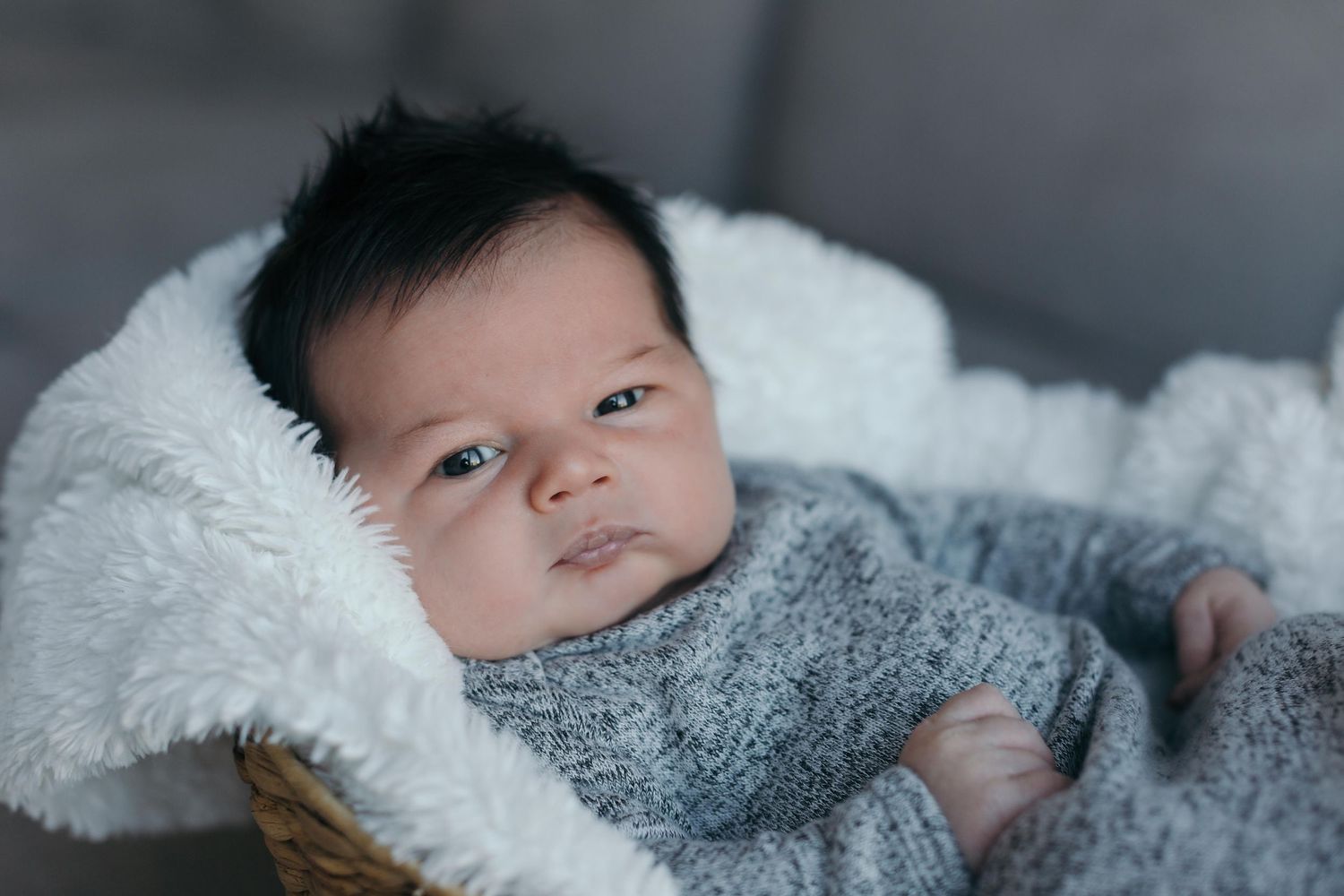 Newborn baby wrapped in cozy gray blanket during professional photo session.