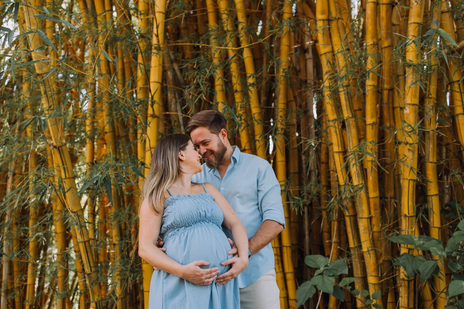Maternity photo shoot in a golden bamboo forest with natural lighting.