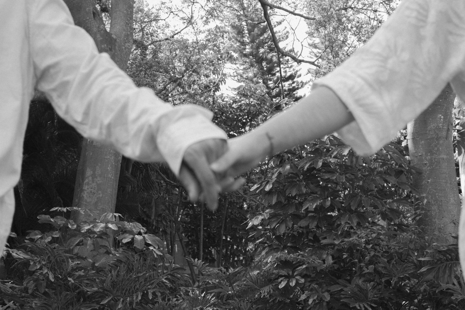 Two people holding hands in a garden, black and white photo with lush trees and shrubs in the background.
