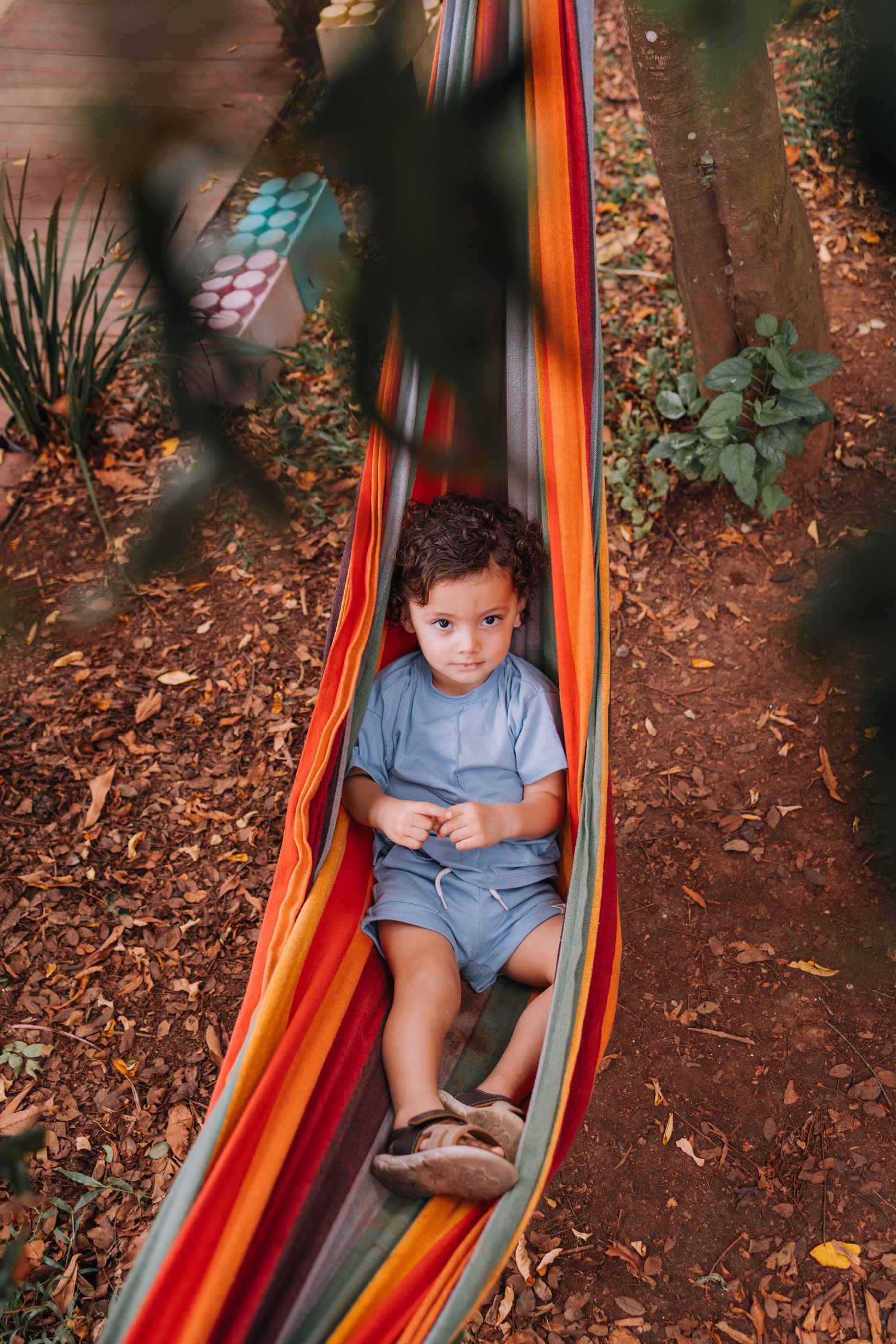 Child relaxing in a colorful striped hammock outdoors among garden foliage.