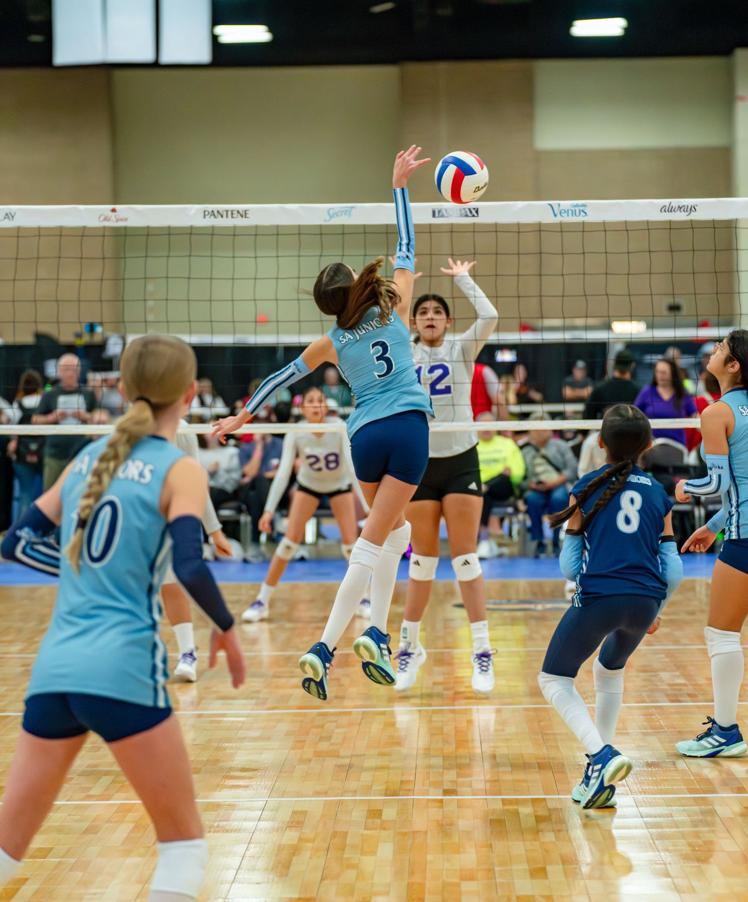 Players in navy and light blue uniforms positioned for play during indoor volleyball match.