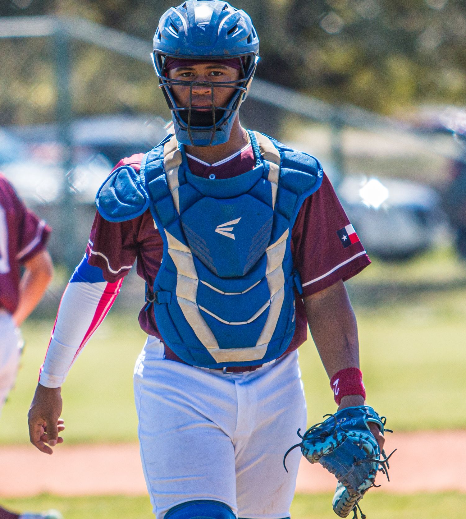 Baseball catcher in blue uniform and protective gear crouches behind home plate.