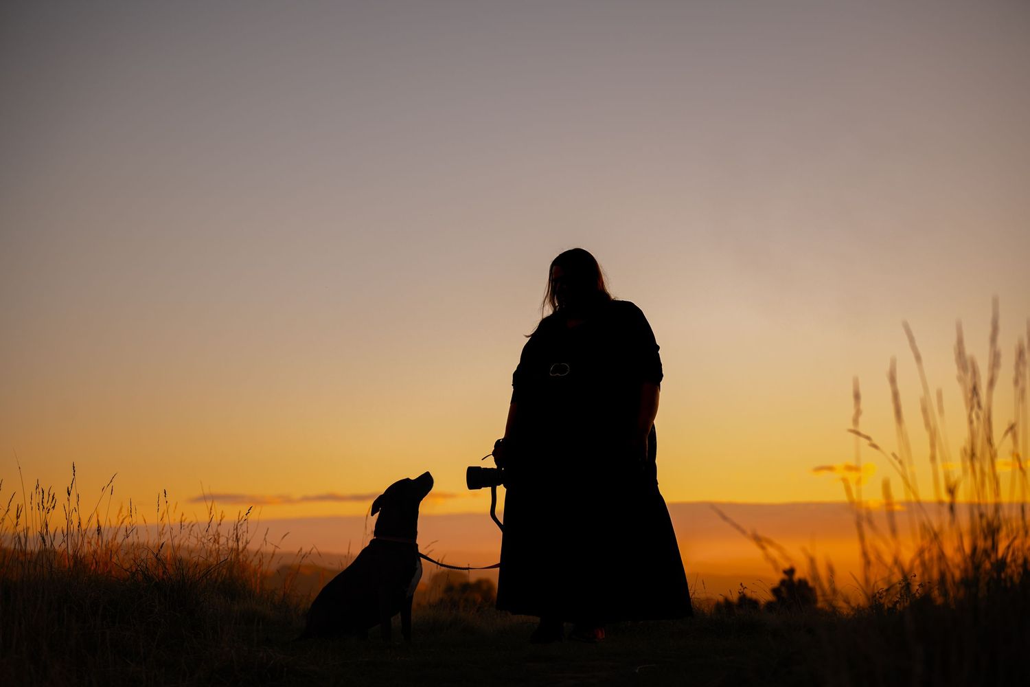 sunset te mata peak, dog and their owner, Hawke's Bay New zealand
