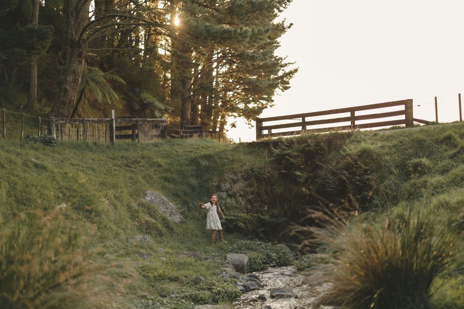 A close-up shot of a person's hands delicately holding a few small yellow wildflowers next to a flowing river and smooth rocks.