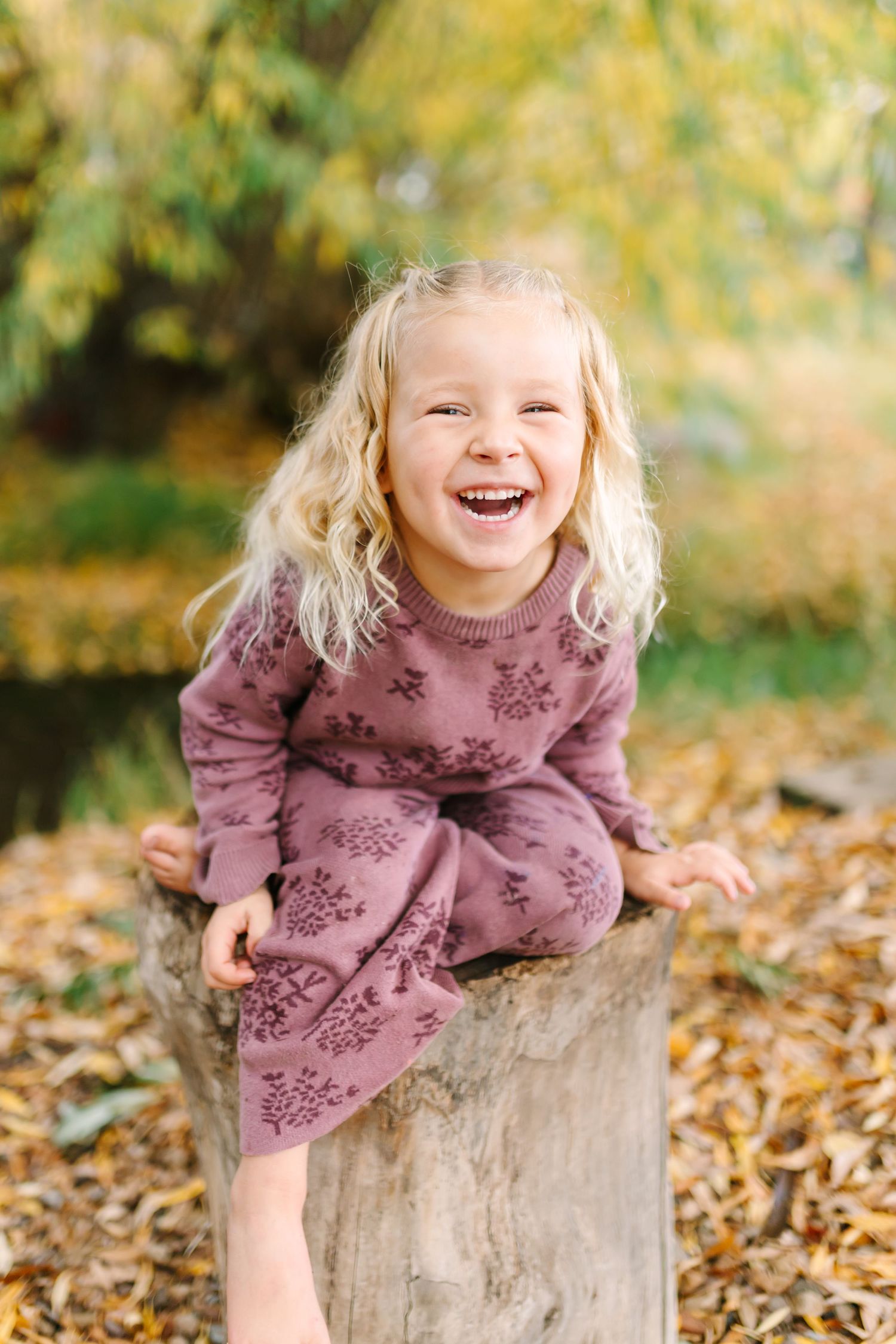 A child in a mauve floral dress sits on a tree stump surrounded by autumn leaves in a natural outdoor setting in Springville, Utah.