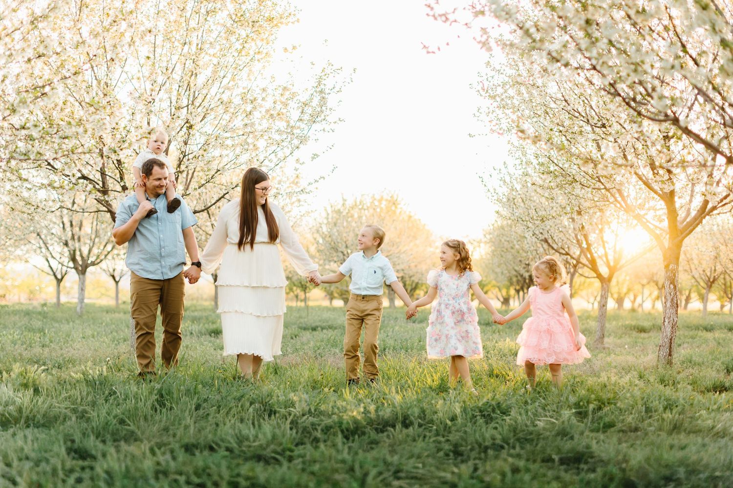 Family of five walking hand-in-hand through blooming spring orchard at golden hour.