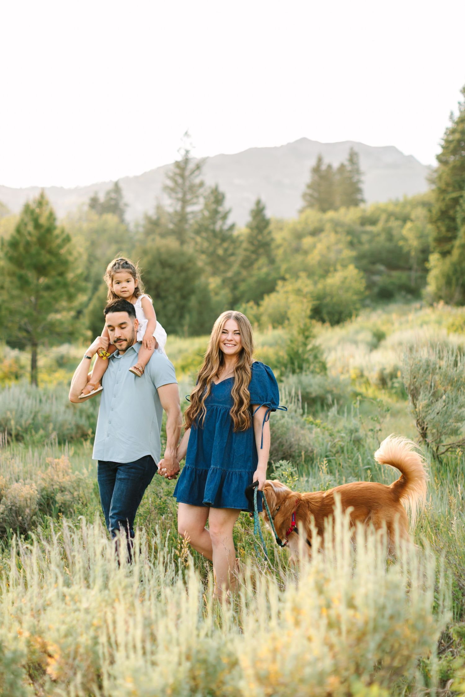 Family with toddler on dad's shoulders and golden dog walking through green meadow with mountain backdrop.