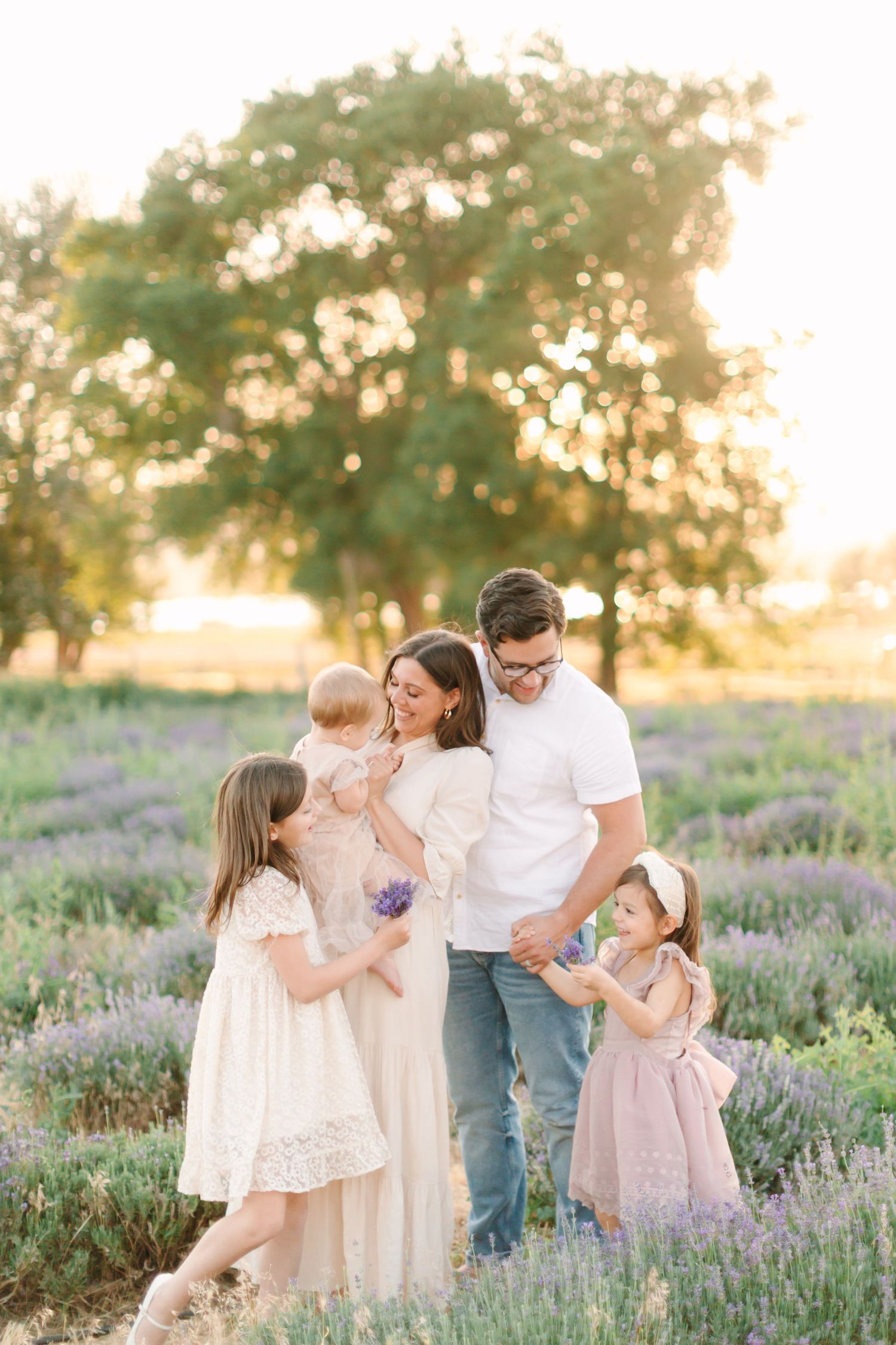 A family shares tender moments together in a blooming lavender field at sunset.