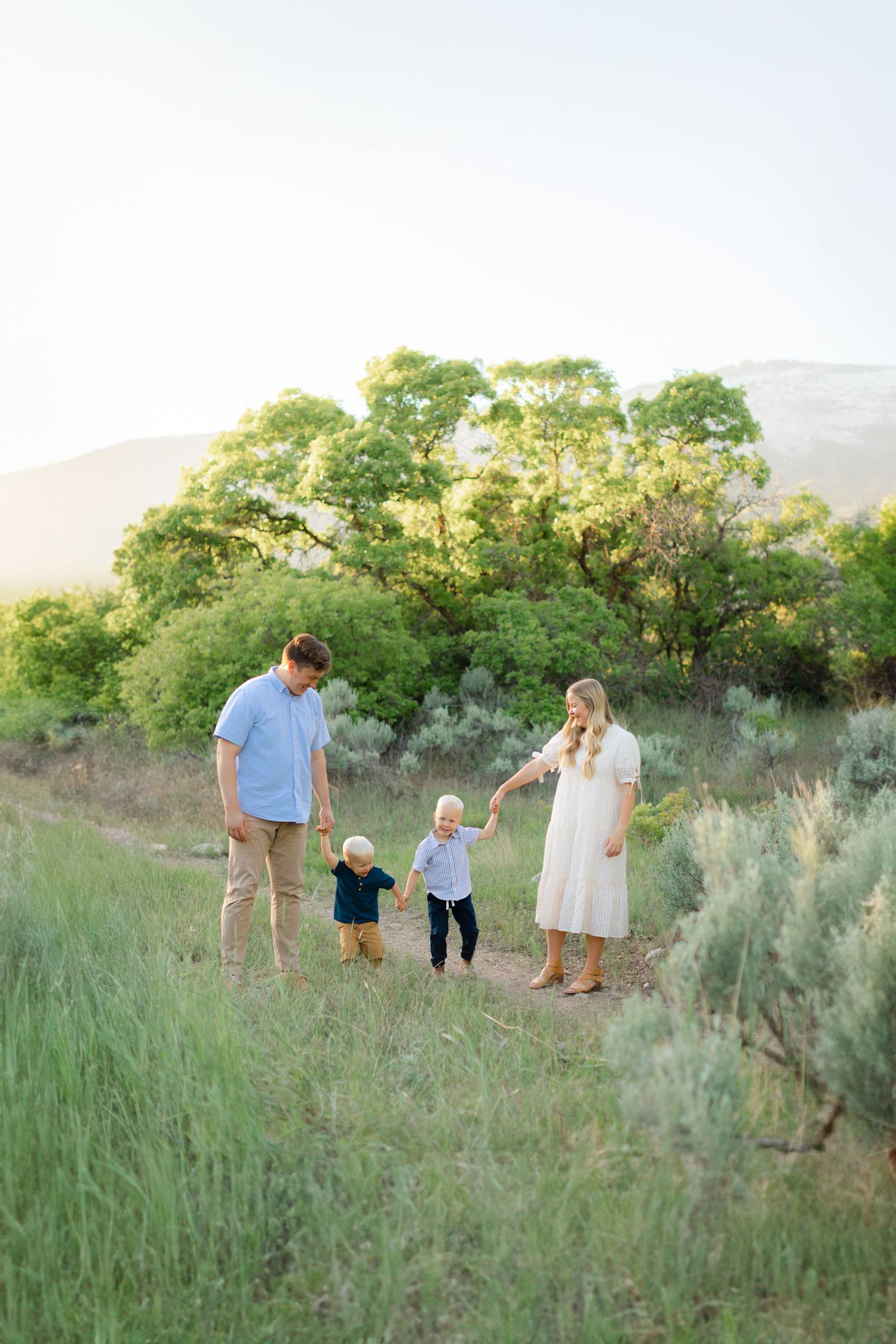 A family walks together through tall grass on a hillside at sunset with green trees in the background.