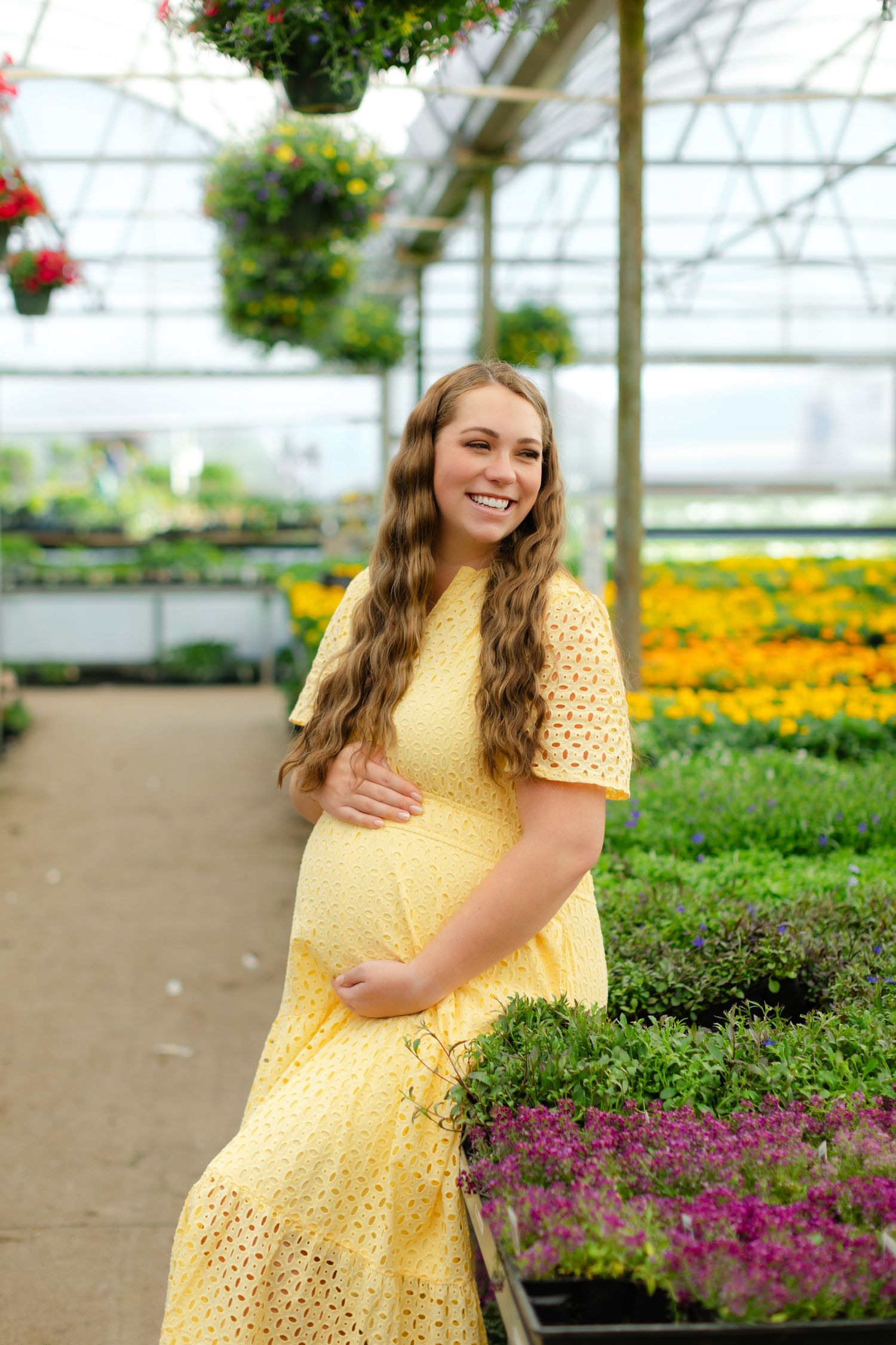 A sunny greenhouse setting filled with colorful flowers and blooming plants in spring.