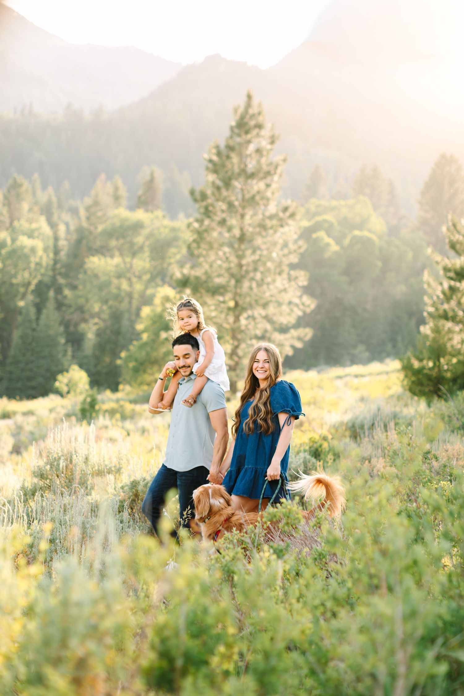 Family with young child on dad's shoulders and golden dog pose in sunlit mountain meadow with pine trees.