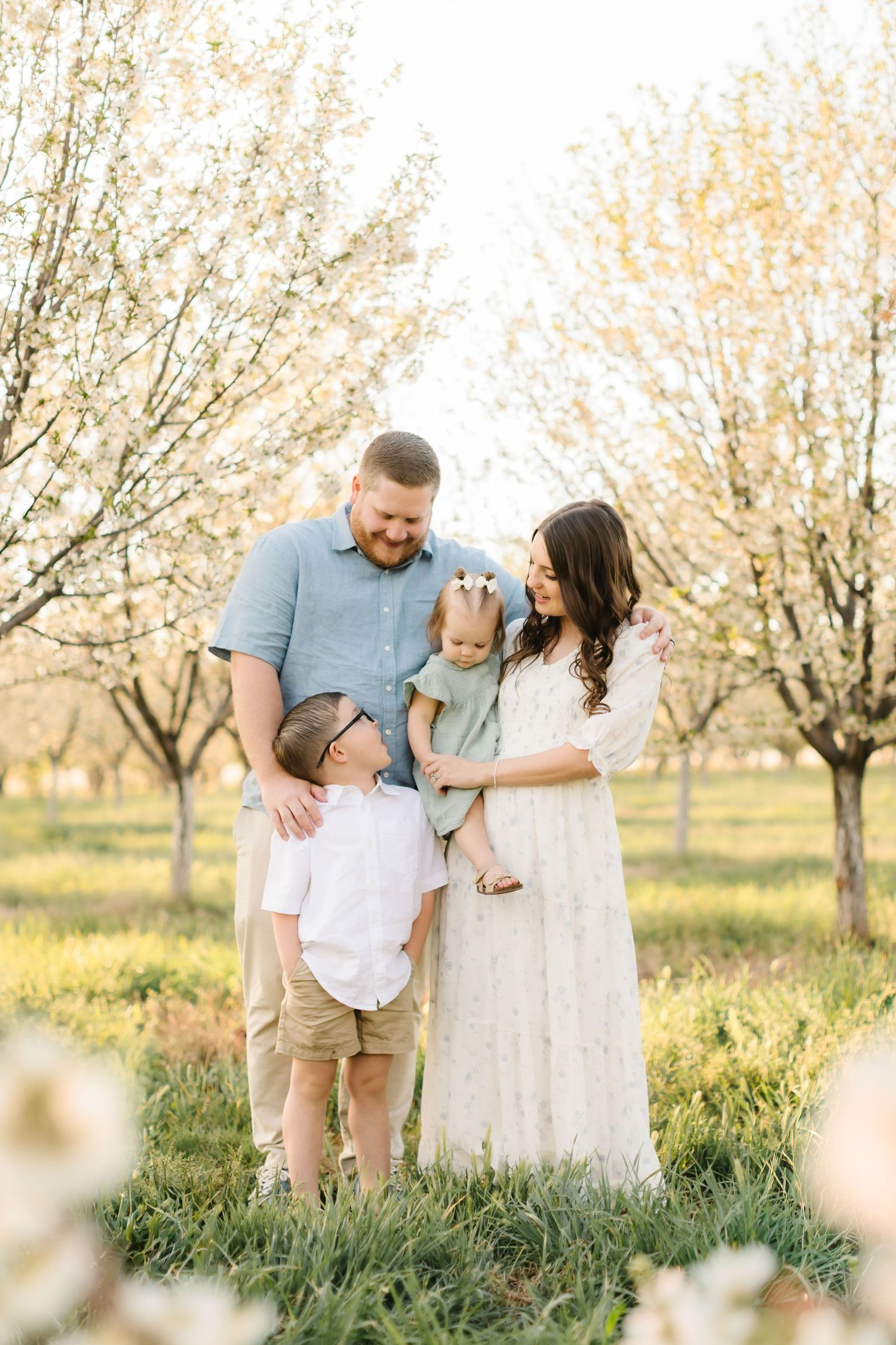 Family of four poses in blooming orchard, parents smiling at children in soft spring light.