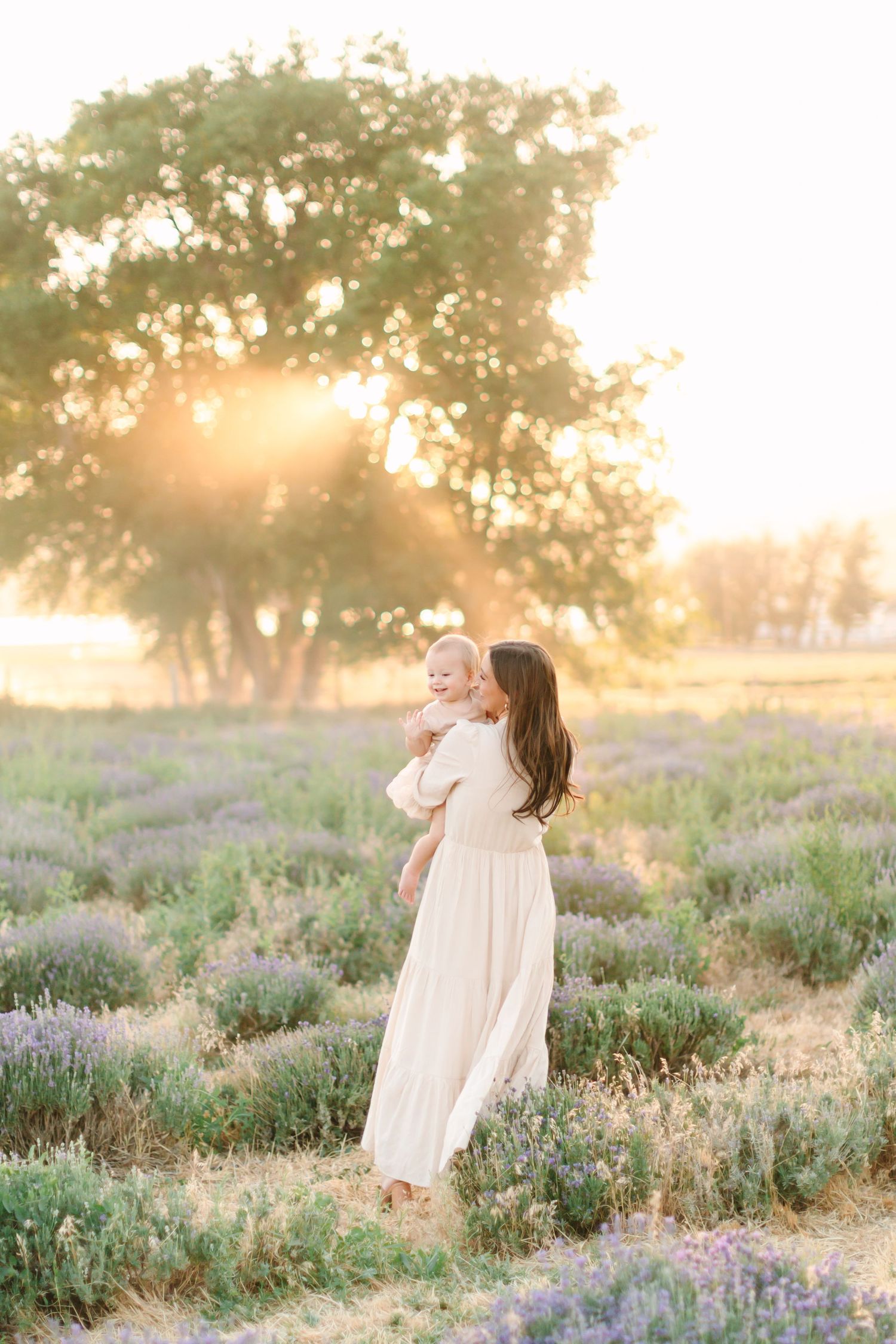 Two figures stand in a dreamy lavender field at sunset with golden light filtering through trees in the background.