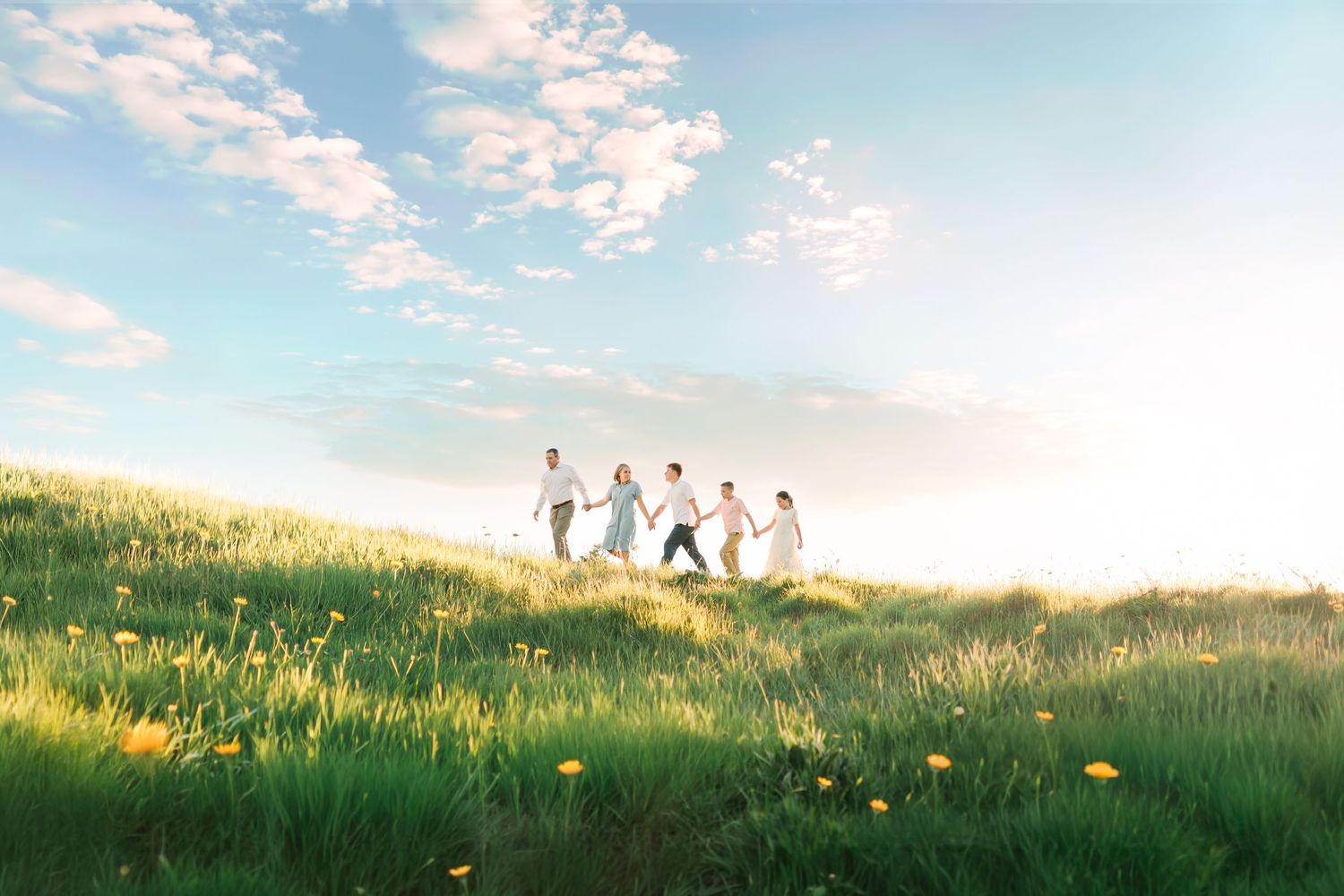 Family holding hands walking through a sunny green meadow with wildflowers under a blue sky.