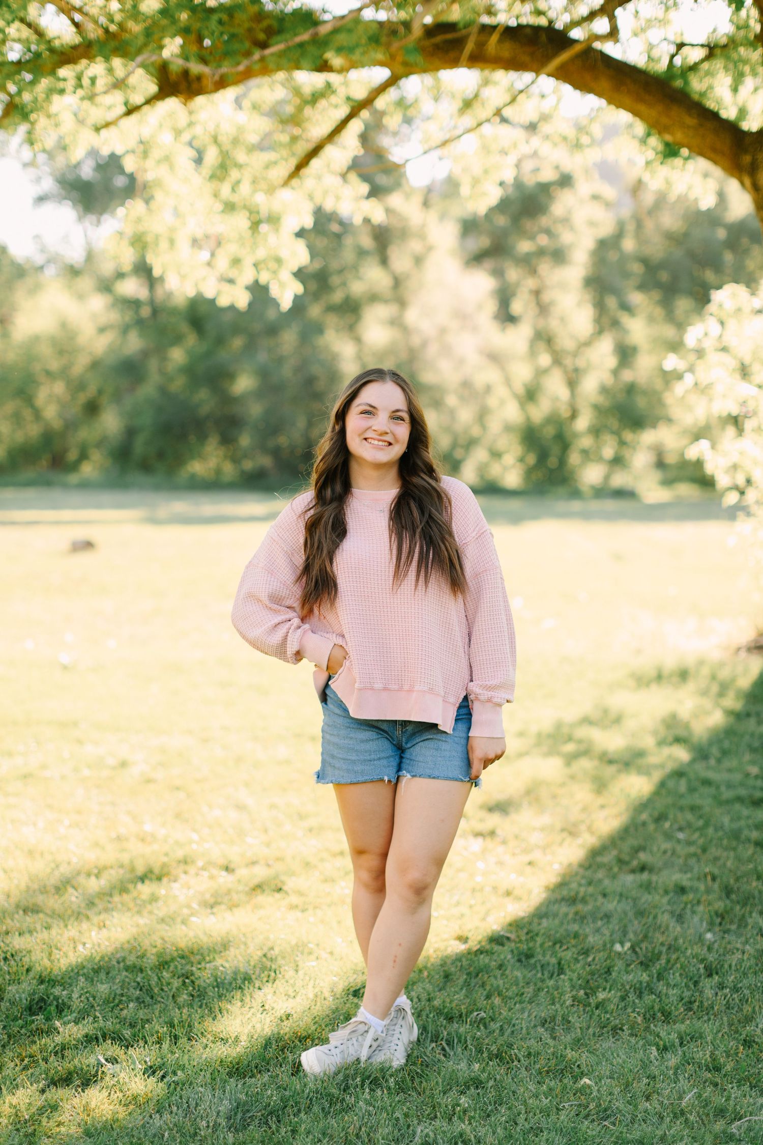 A person in a pink sweater and denim shorts stands in a sunlit grassy field under a tree branch.