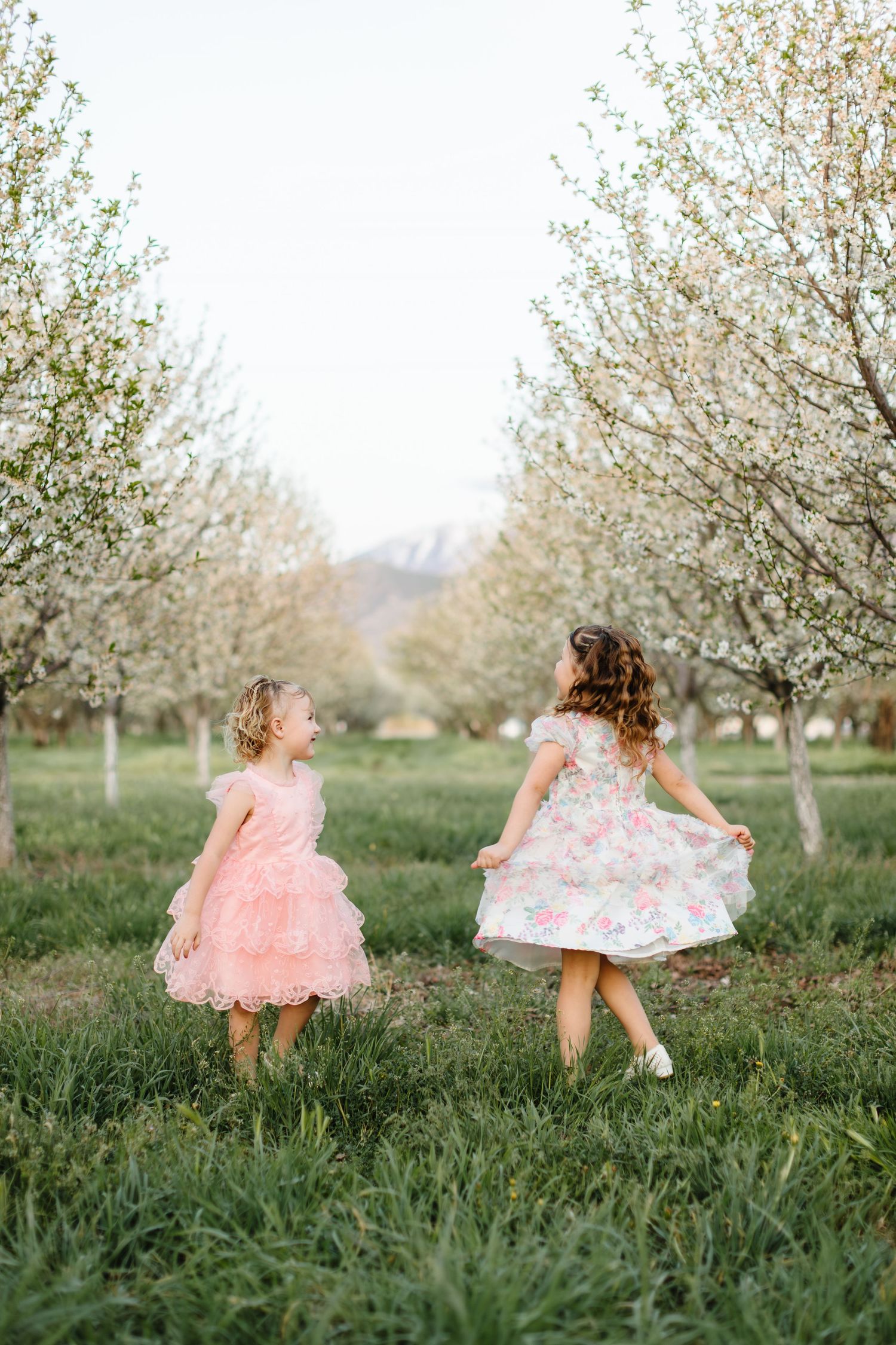 Two young girls in pink floral dresses twirl and play among blooming white trees in a lush green orchard.
