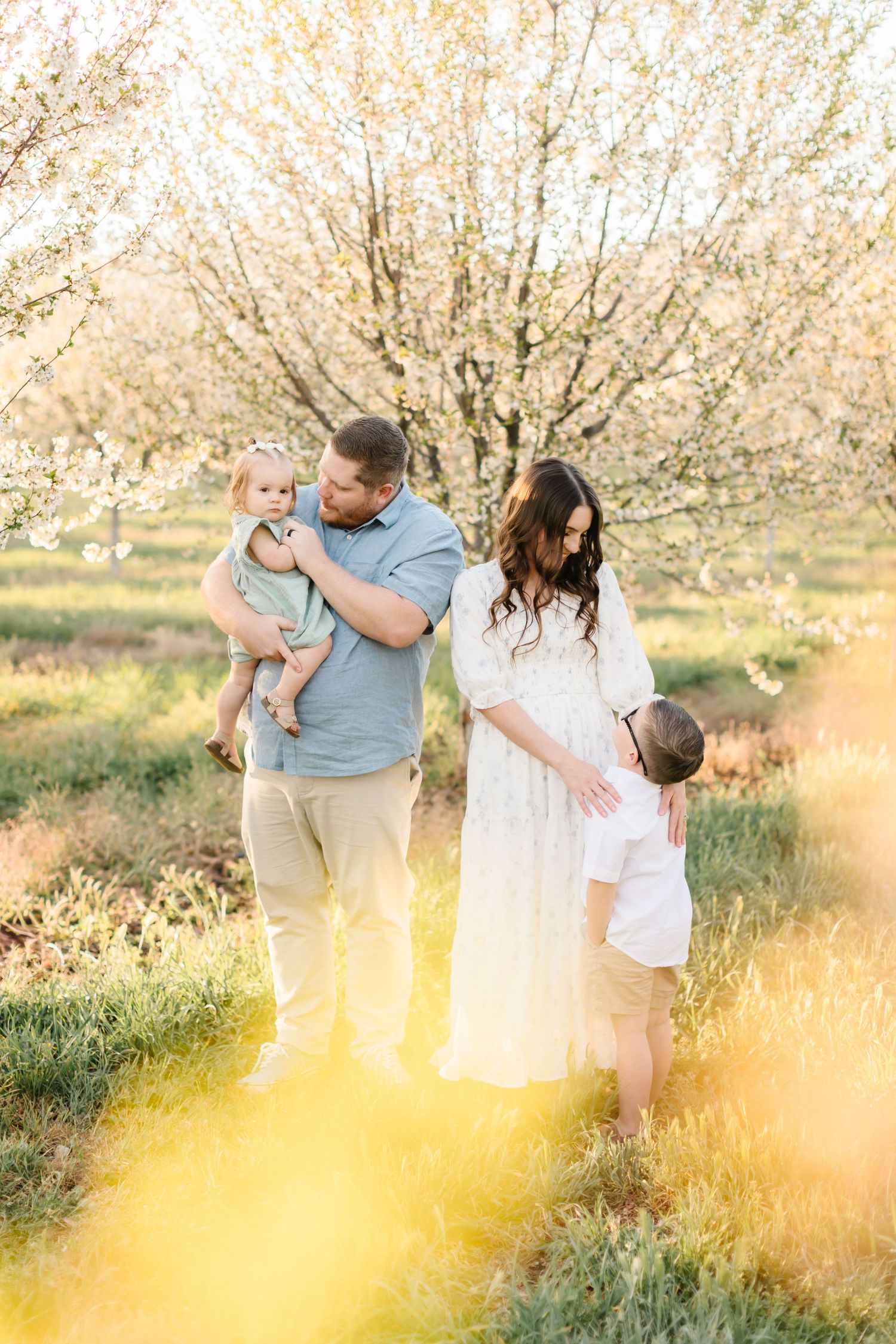 Family of four poses in golden hour light among blooming spring trees, parents with toddler and young child.