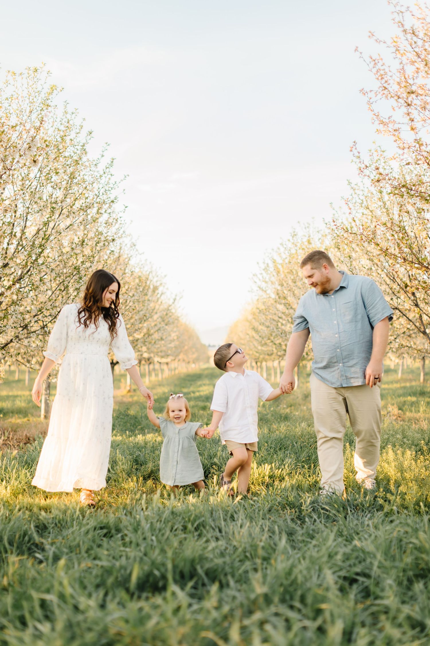 Family of four walking hand-in-hand through blooming orchard in spring, parents smiling at children in golden hour light.