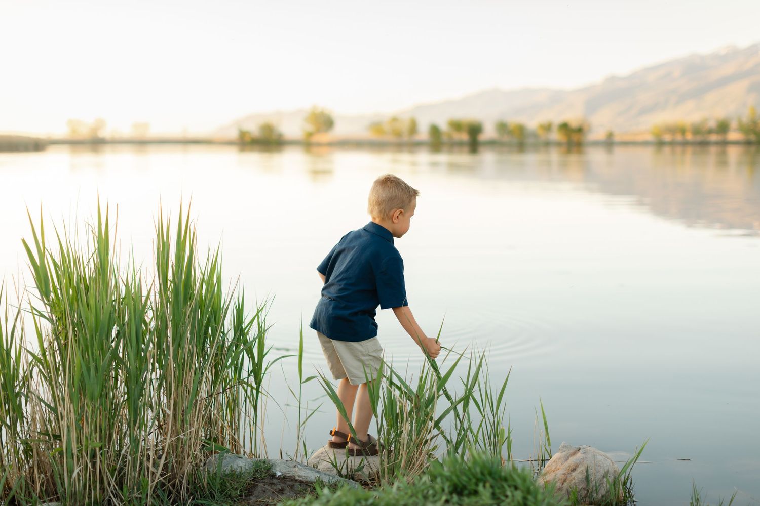 Person crouches at water's edge near reeds during sunset at tranquil lake.