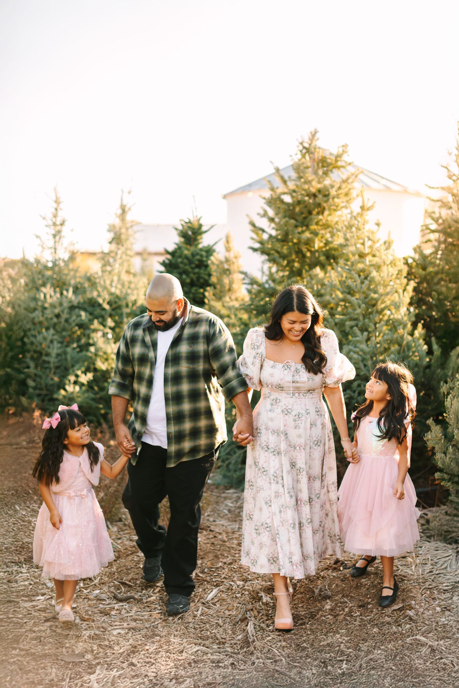 A family walks together on a path surrounded by evergreen trees during a golden sunset photo session.