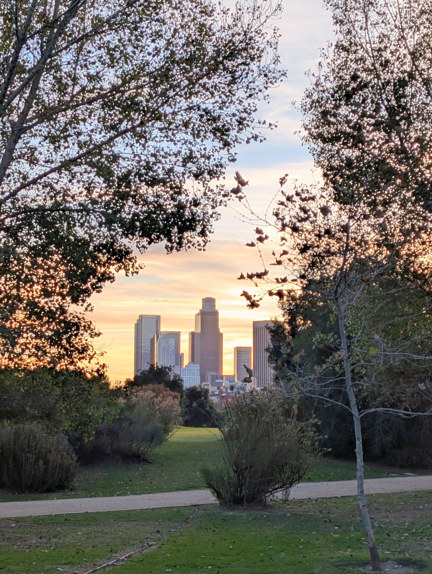Downtown LA skyline at sunset from Los Angeles State Historic Park.