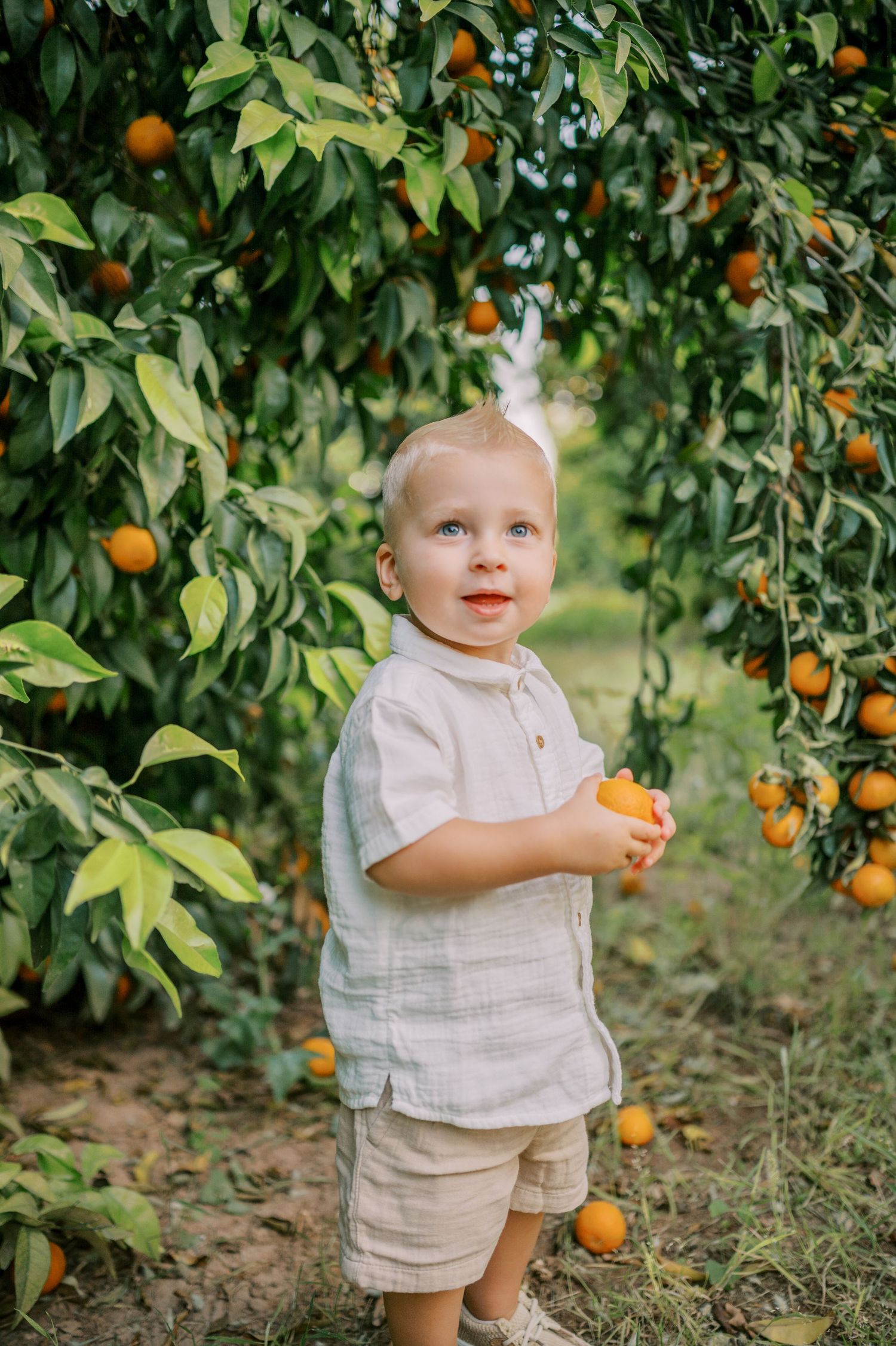 Gilbert Arizona family photography