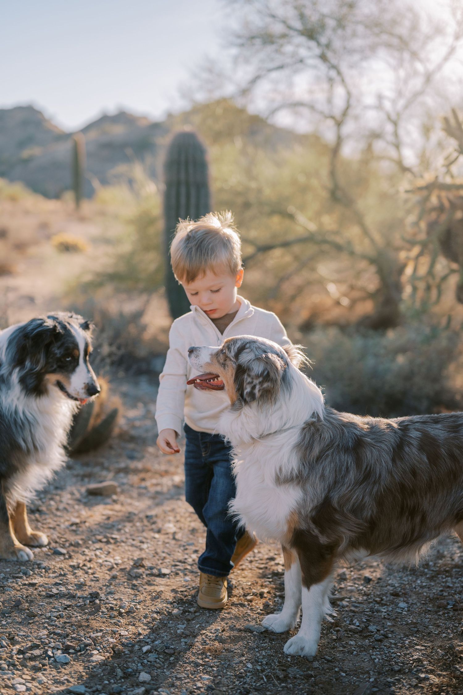 Phoenix Arizona portrait photographer.