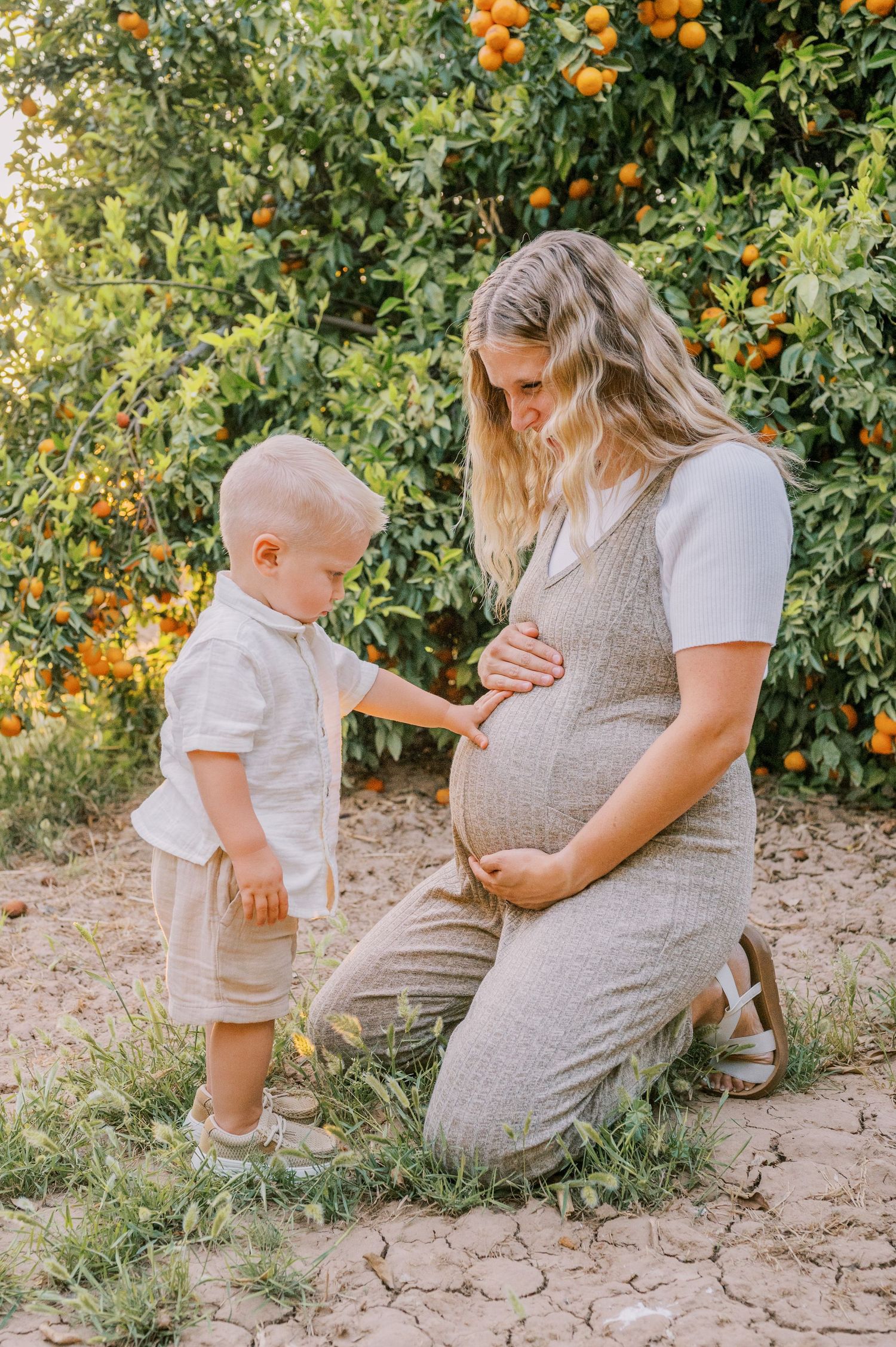 A tender moment shared in an orange grove as a young child touches a pregnant belly on a sunny afternoon.
