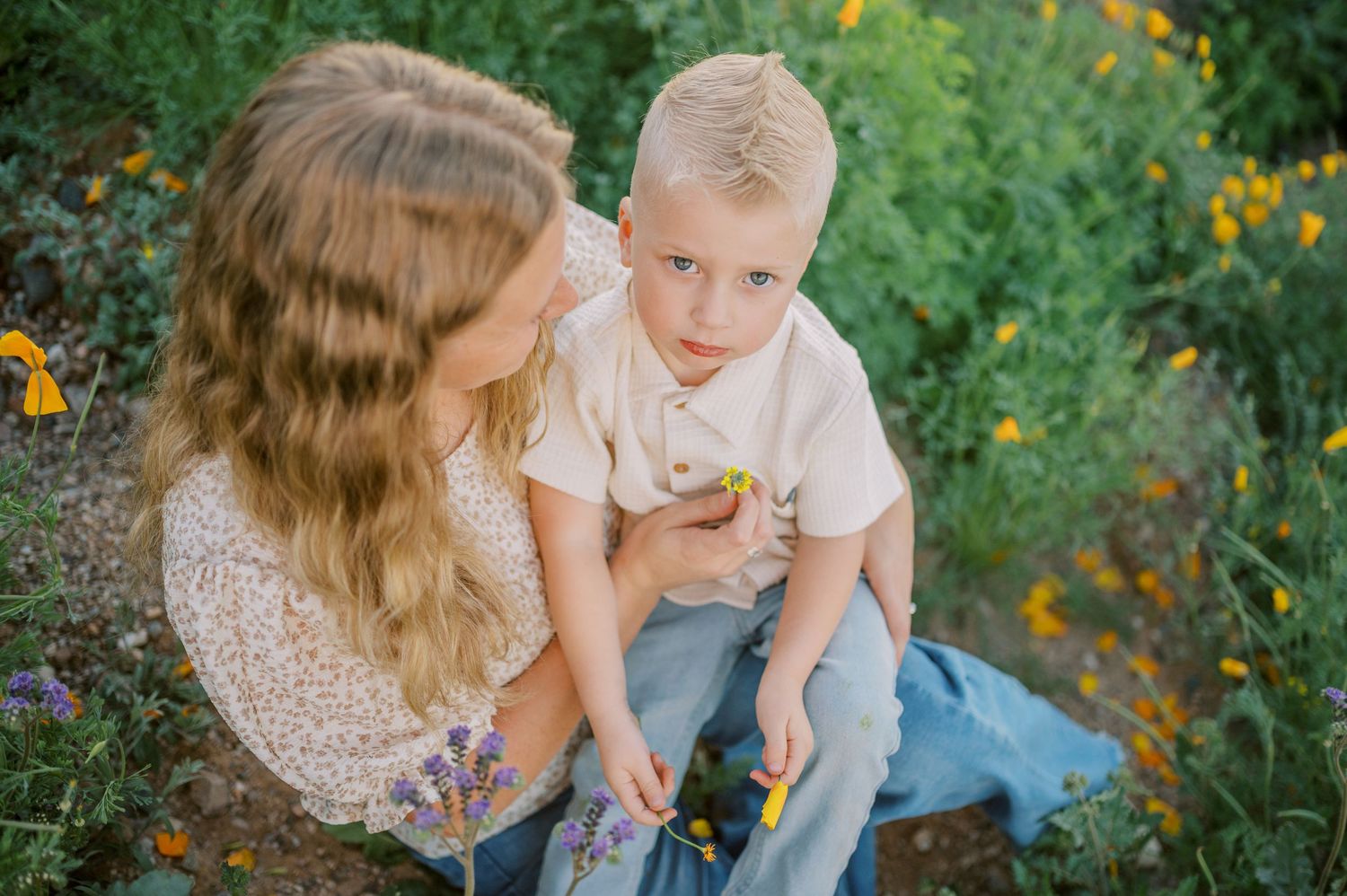 A tender moment between parent and child outdoors surrounded by yellow wildflowers in a garden setting. Phoenix Arizona family photographer.