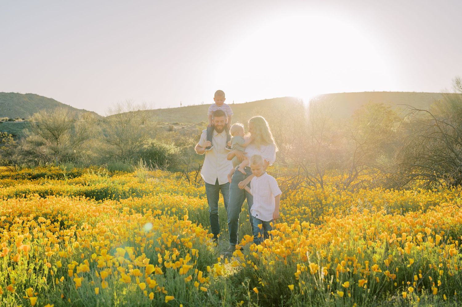 Family walking through a vibrant yellow wildflower meadow at sunset with mountains in the background. Phoenix Arizona family photographer.