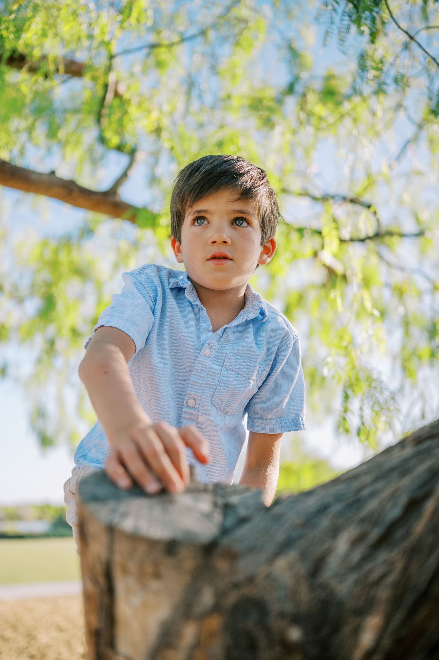 Phoenix Arizona portrait photographer.