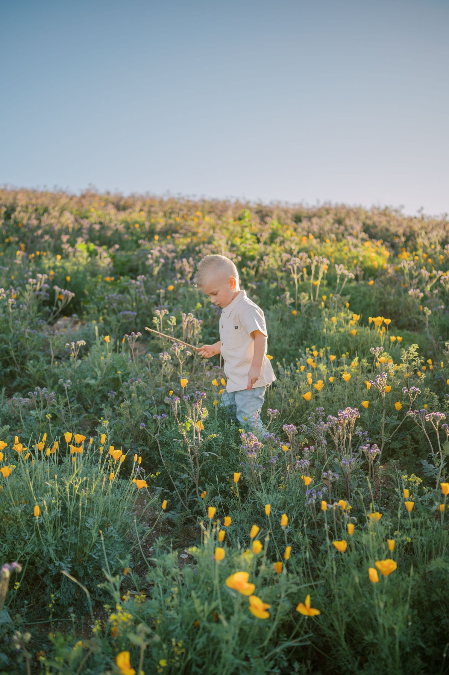 Phoenix Arizona family photographer