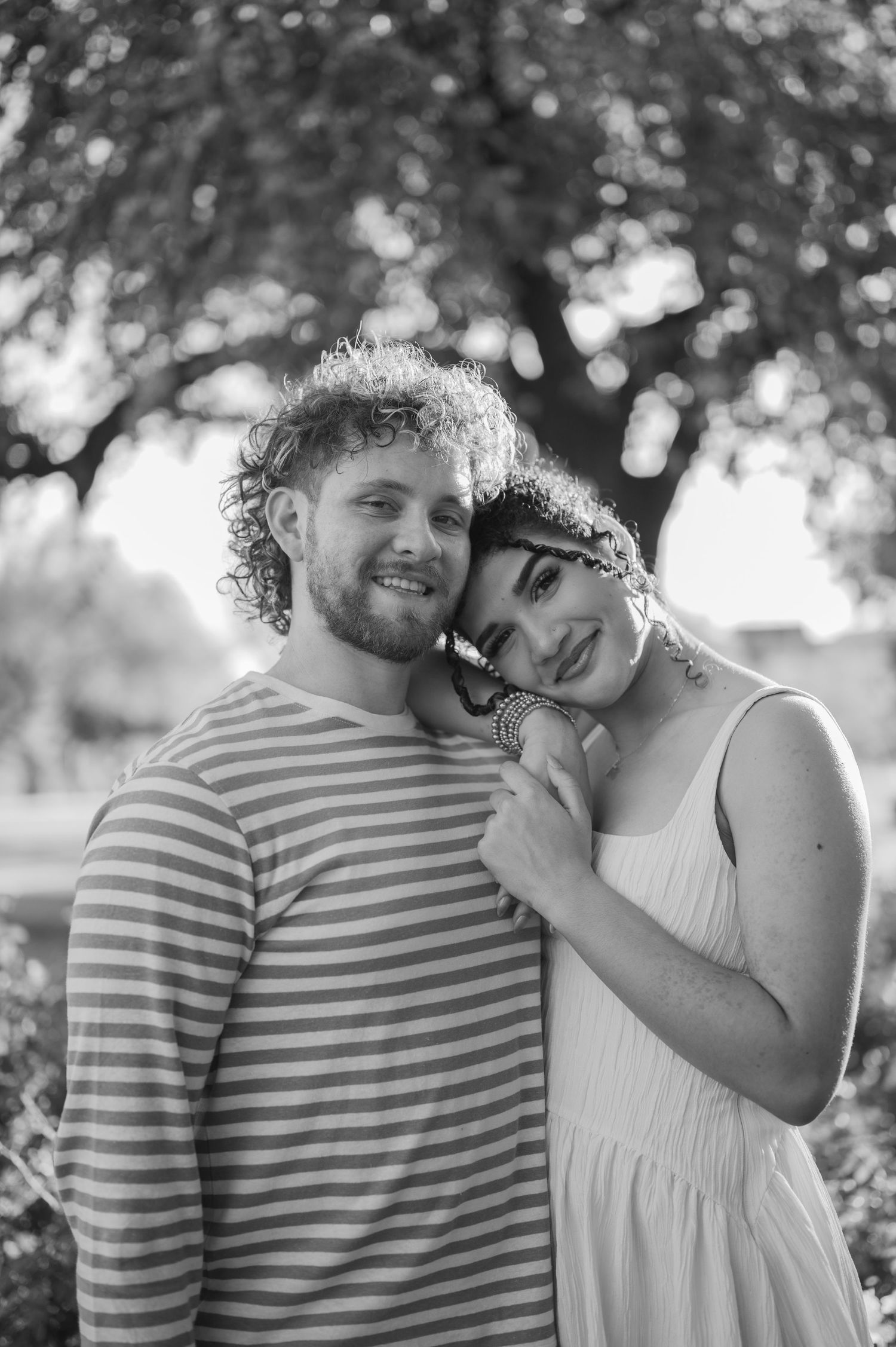 Romantic family photos surrounded by pink and red roses in full bloom