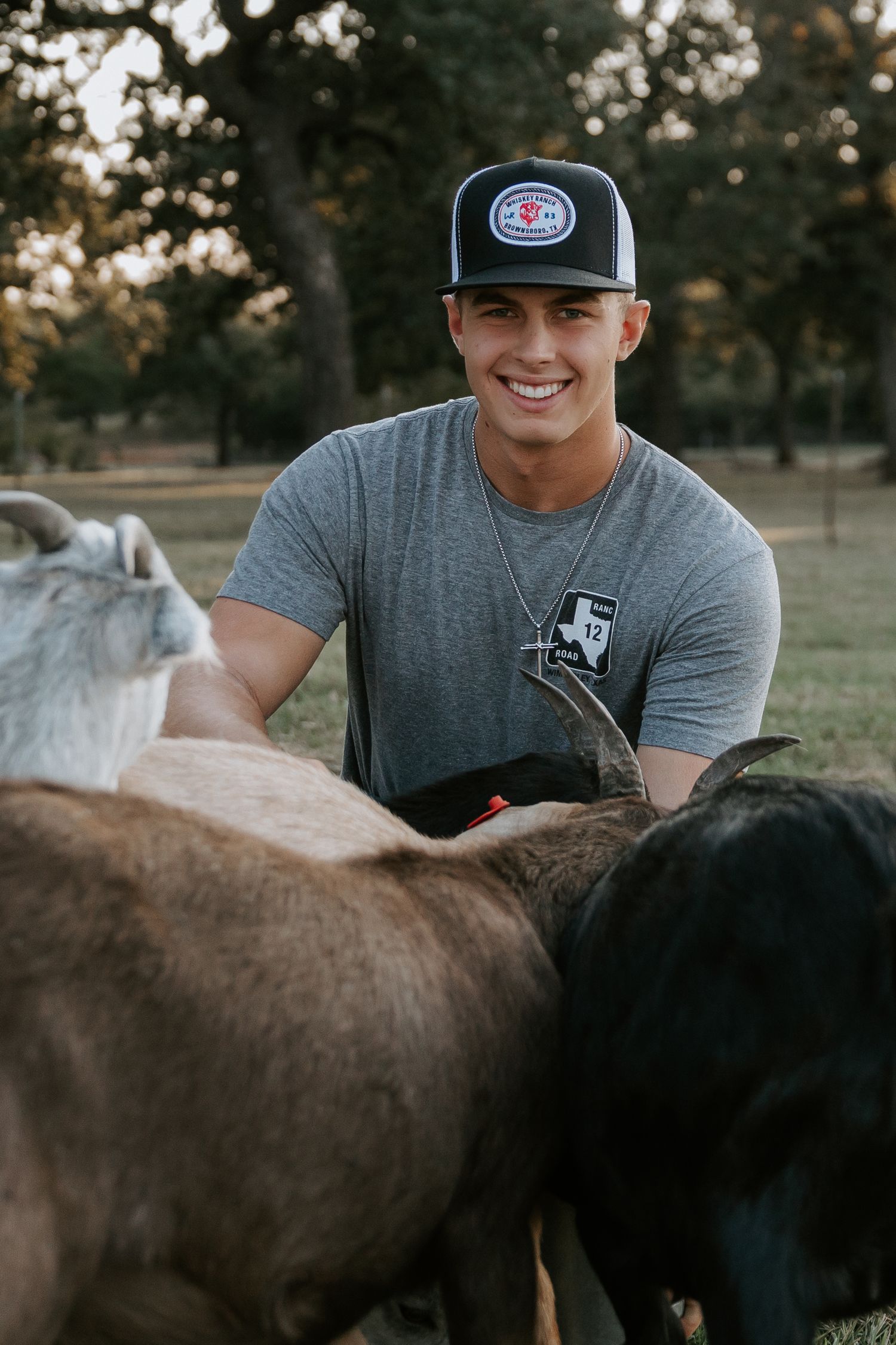 Person in baseball cap interacting with horses in outdoor setting.