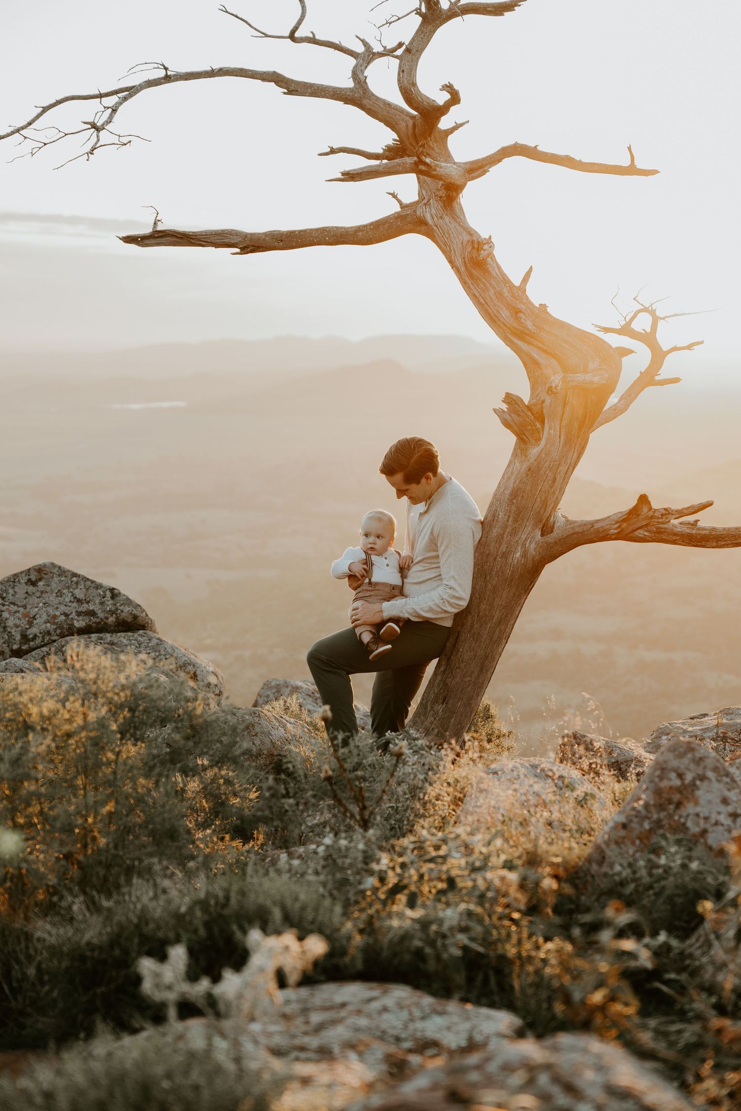 A family sits together under a twisted tree at sunset on a rocky overlook.