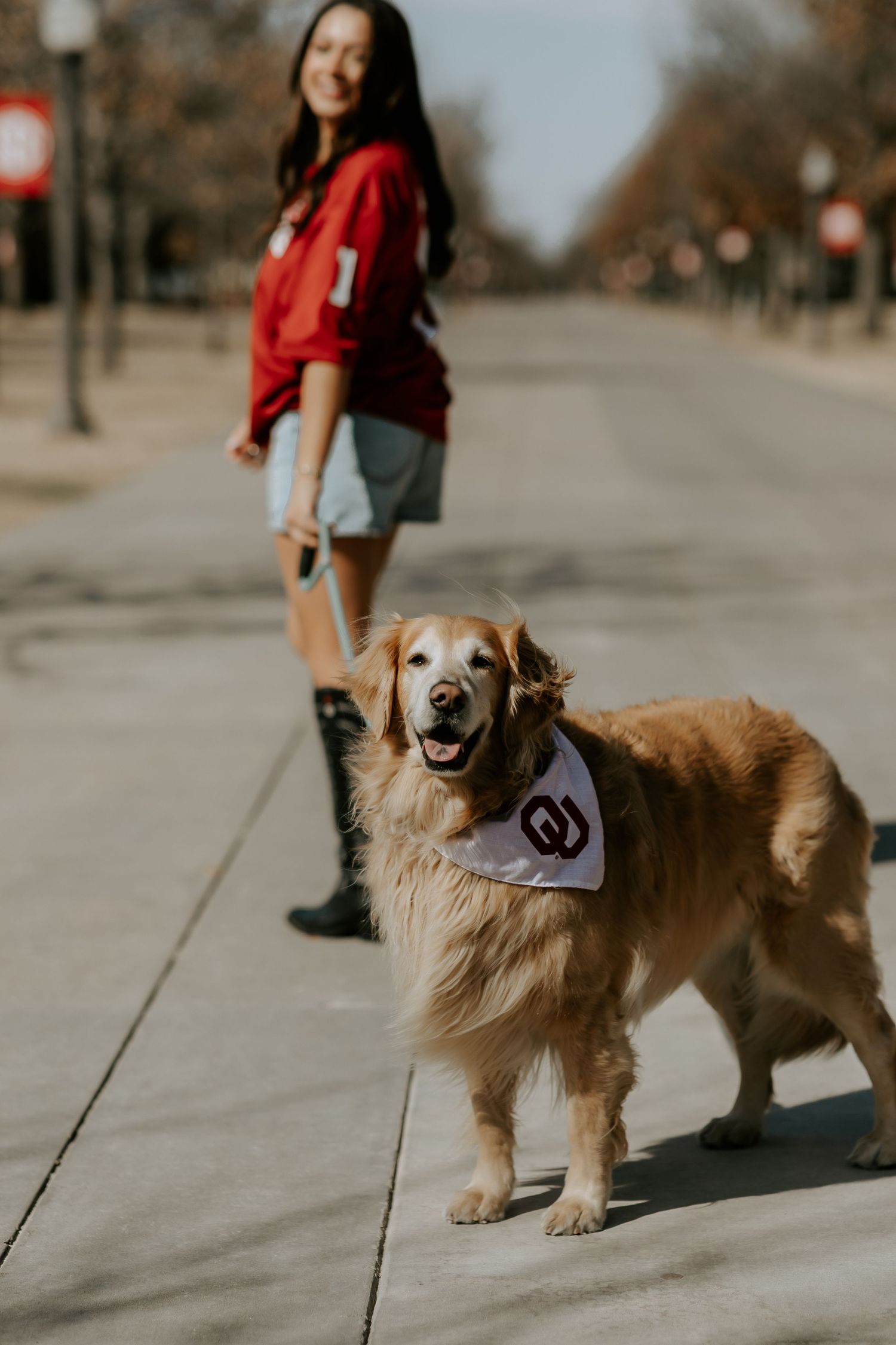 Golden Retriever wearing graduation attire poses on campus walkway during photo session.