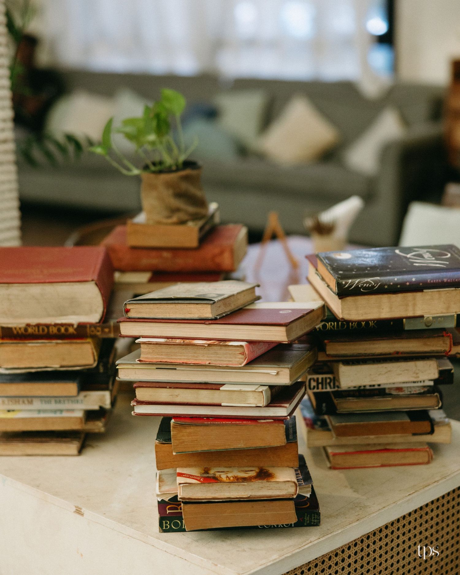 Stacks of vintage hardcover books on a rattan-sided table with a small potted plant on top and a cozy gray sofa in the background.