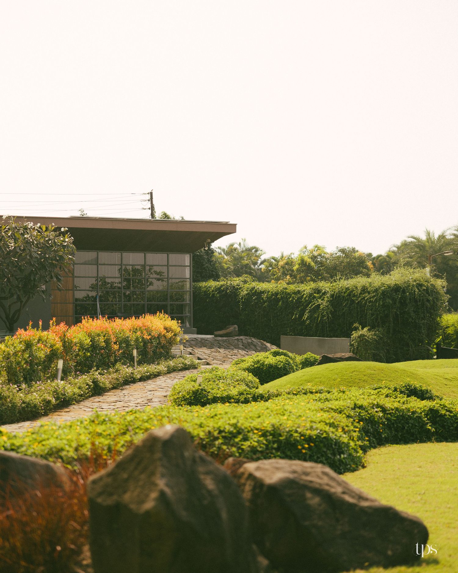 Manicured garden with a winding stone path, trimmed green hedges, large rocks and a modern glass-walled building beneath palm trees.