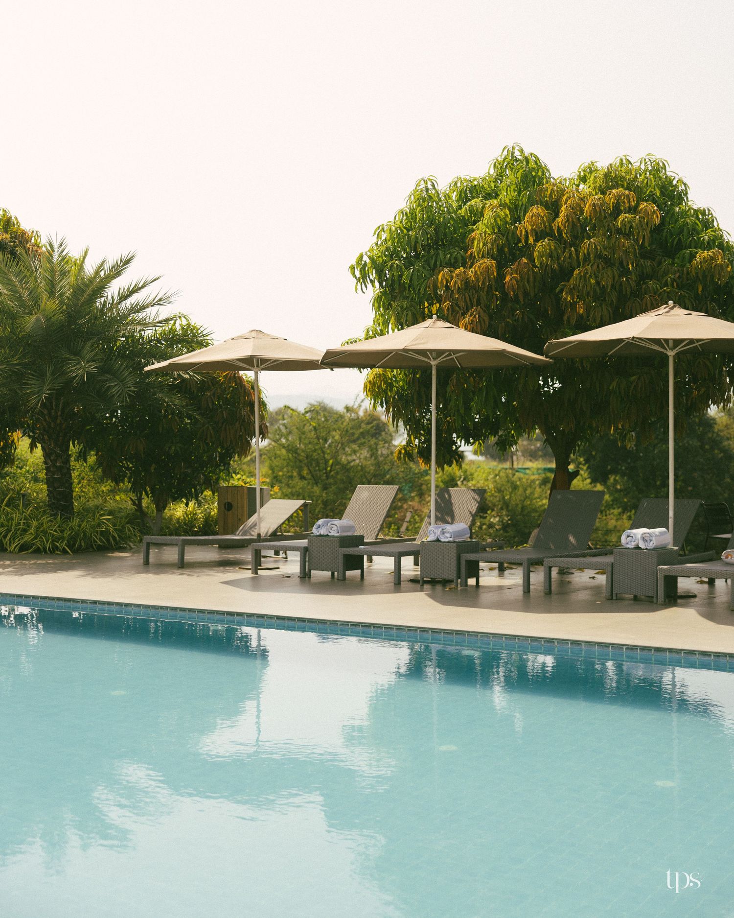 Calm resort swimming pool with lounge chairs, rolled towels and tan patio umbrellas shaded by lush green trees.