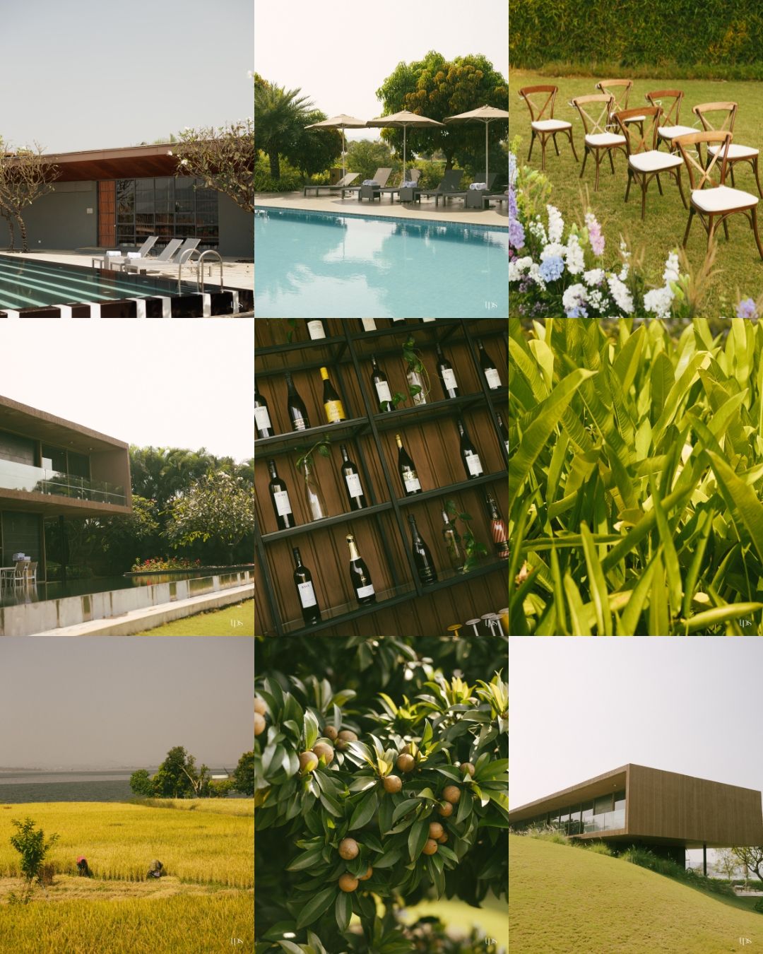 Collage of a modern winery resort featuring a pool, outdoor dining, wine bottles, olive trees, vineyards and contemporary architecture.
