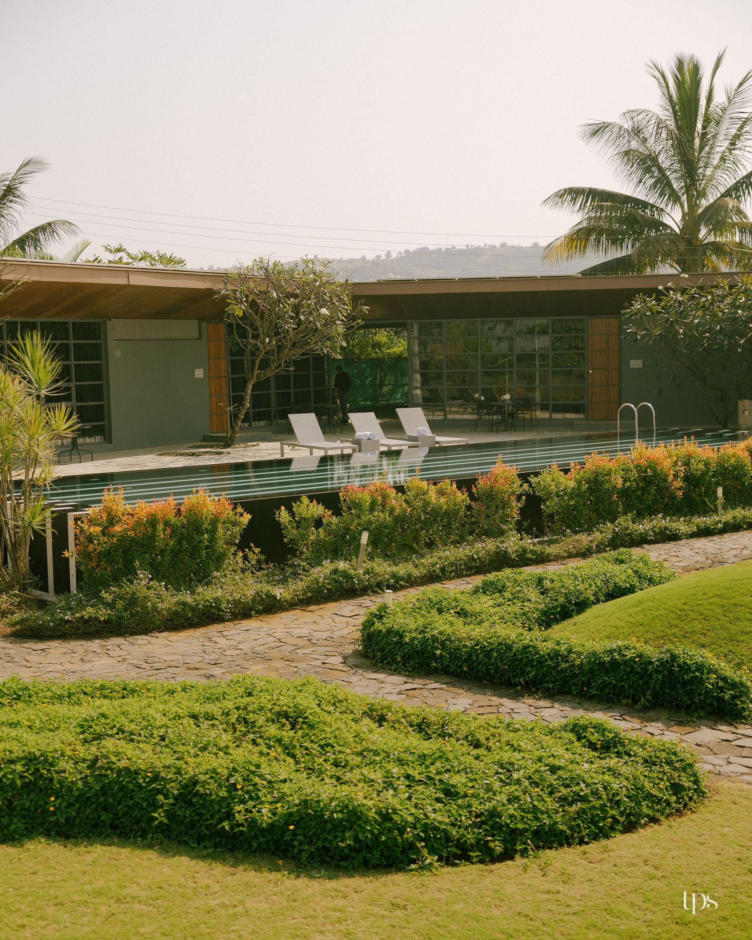 Modern single-story villa with glass walls and a wooden facade beside a pool with lounge chairs, framed by palms, shrubs and a stone path.