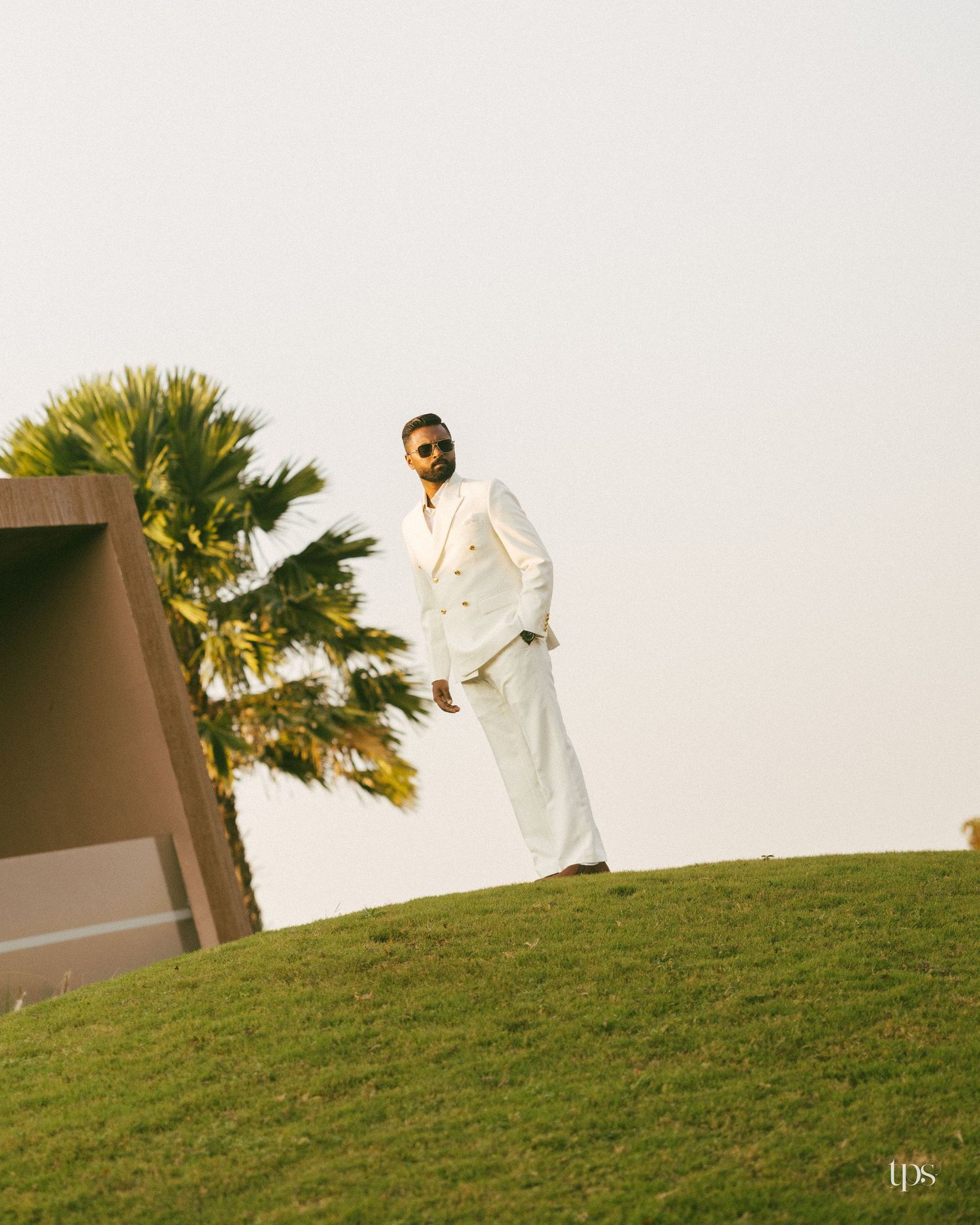 Man in a white double-breasted suit and sunglasses stands on a grassy hill beside a palm tree under a soft, hazy sky.
